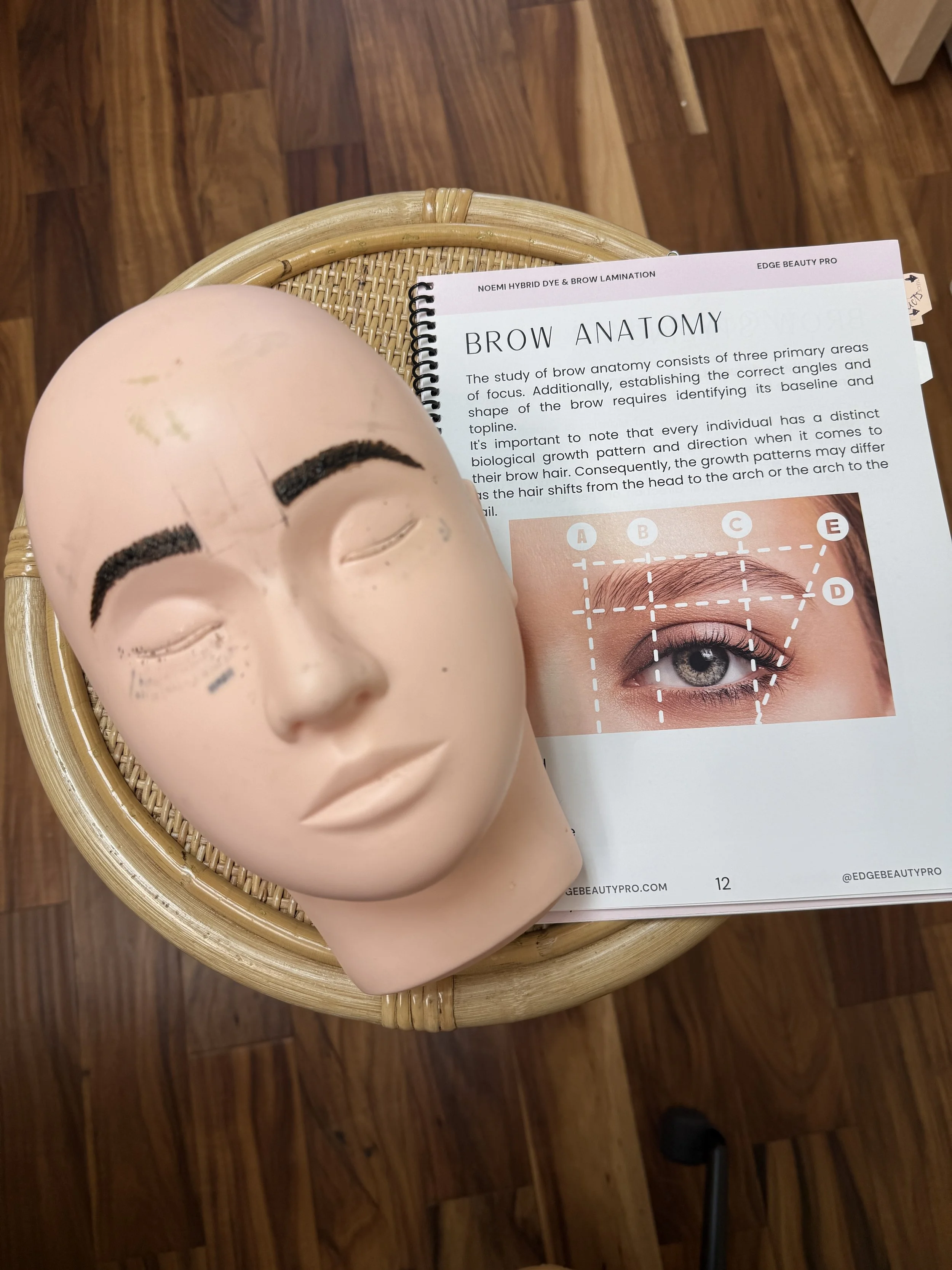 Noemi brow educator teaching hybrid brow dye techniques in Tulsa Oklahoma