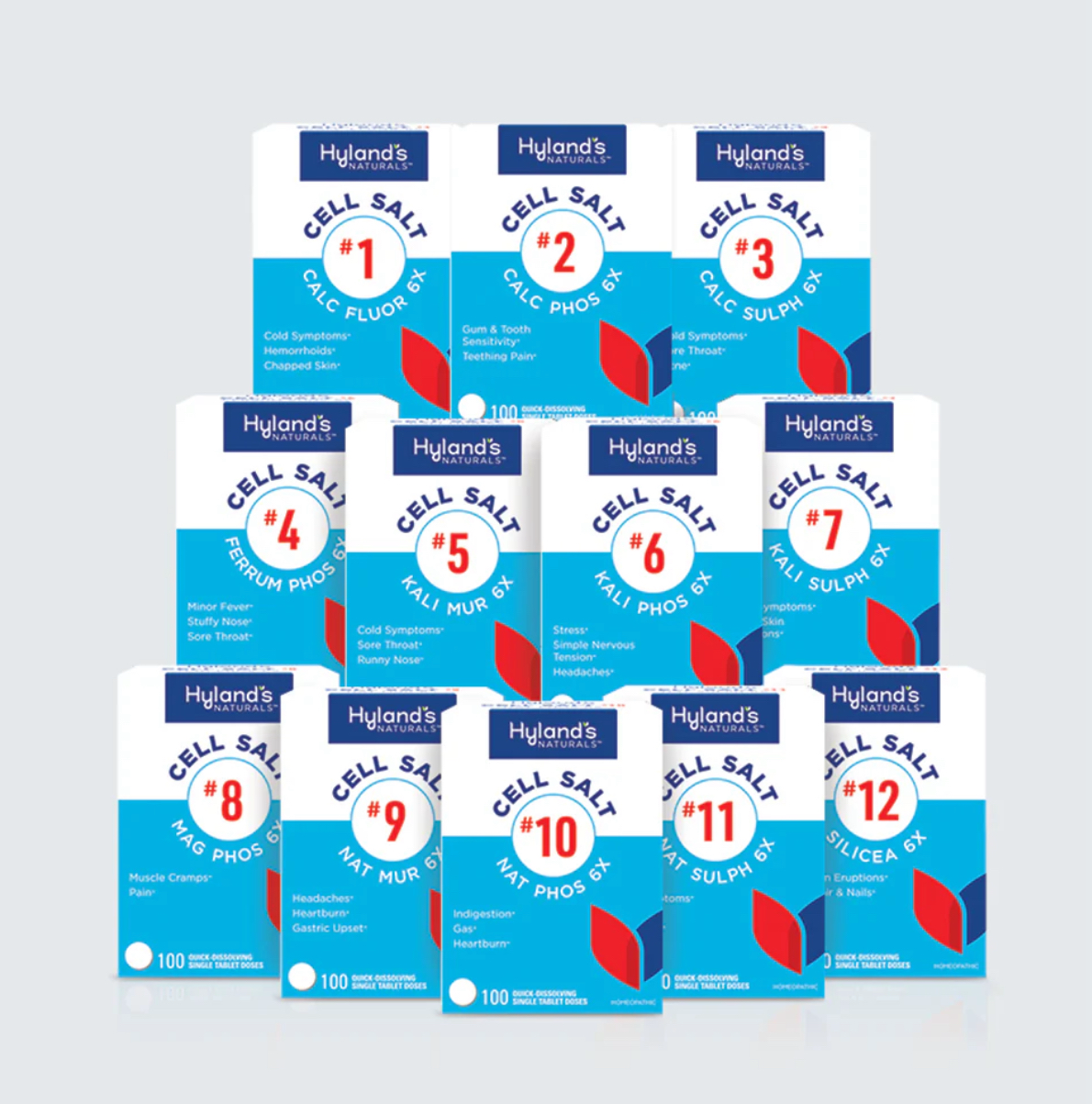 Nourish at the Cellular Level