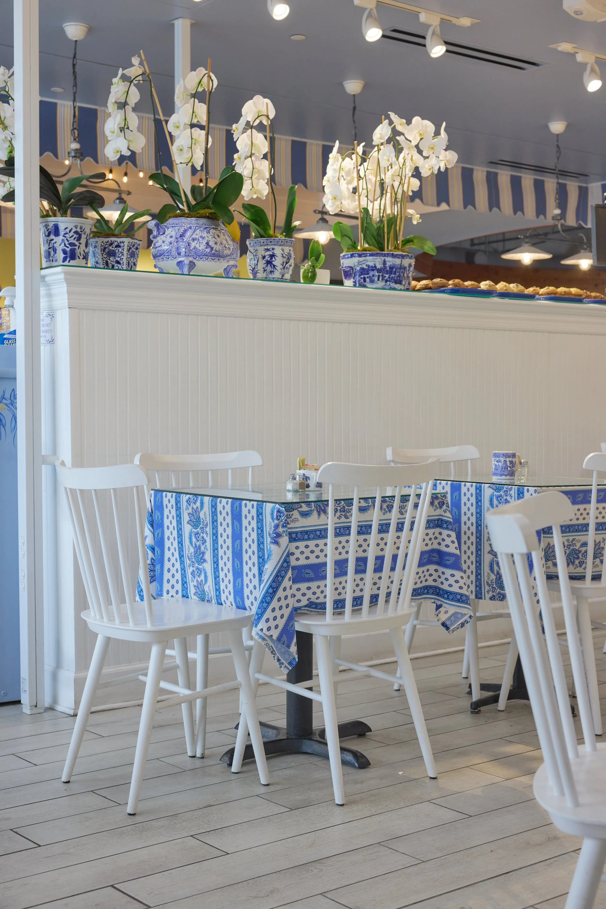 Picnic Cafe, blue and white, dining chair, lunch, plates, blue ceiling, awning, breakfast