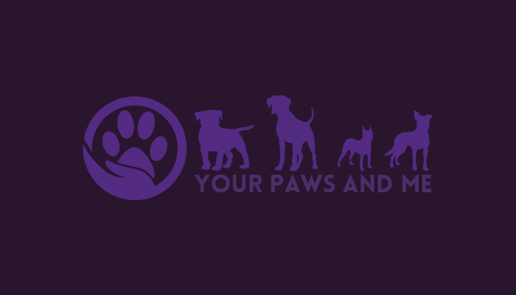 Your Paws and Me Dog Training and Boarding Center