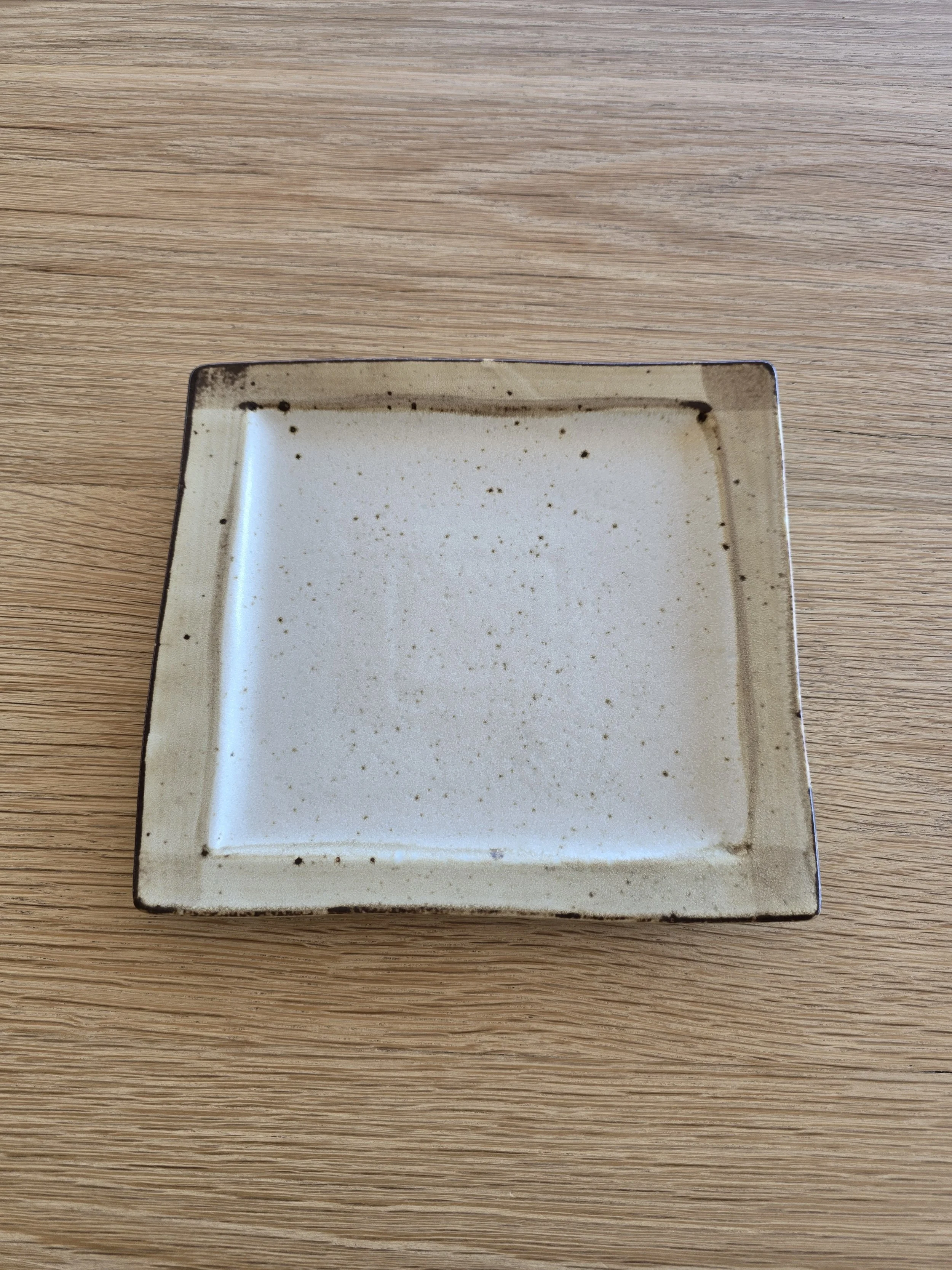 Earthenware Entree Plate Square