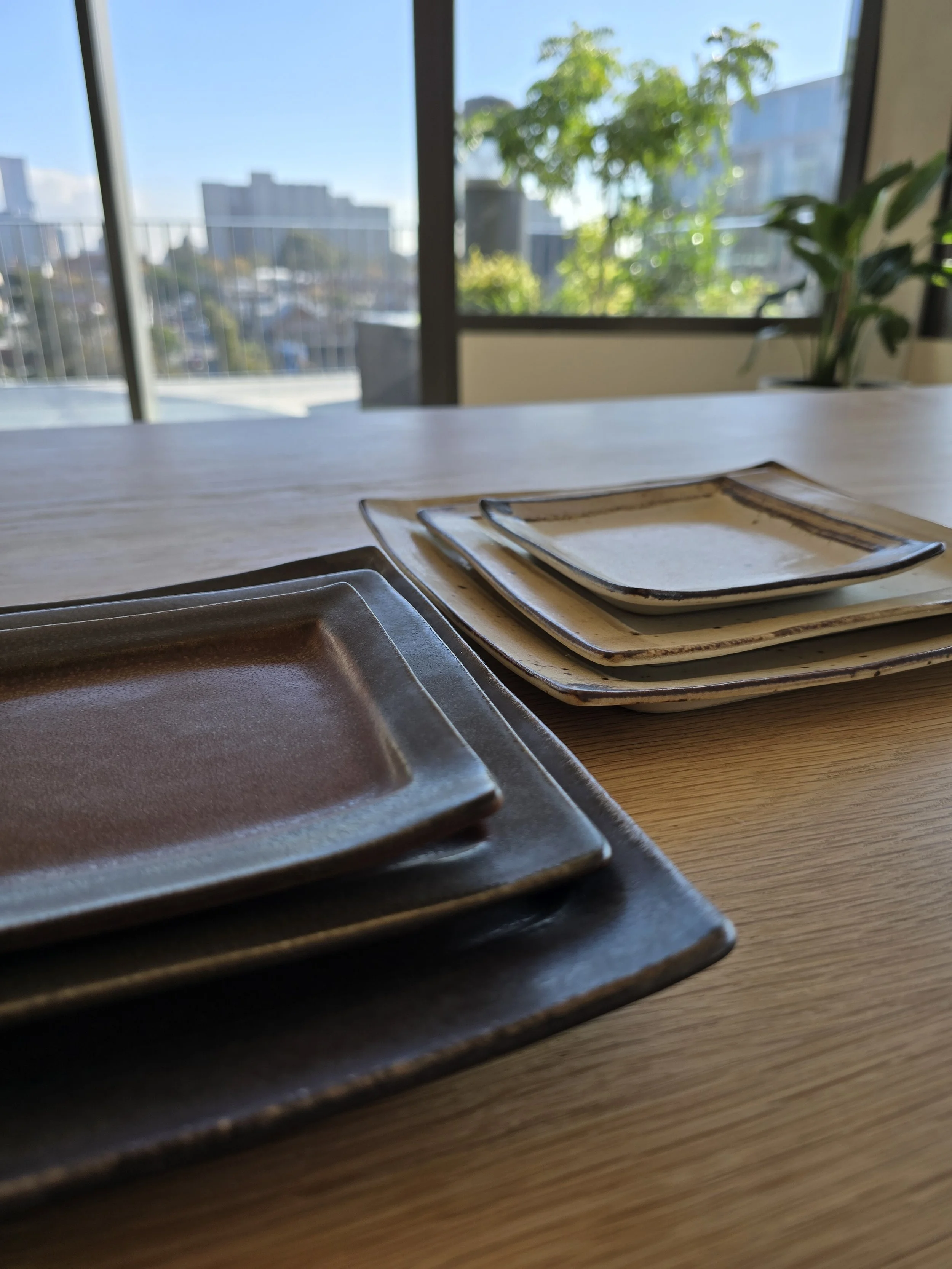 Earthenware Dinner Plate Square