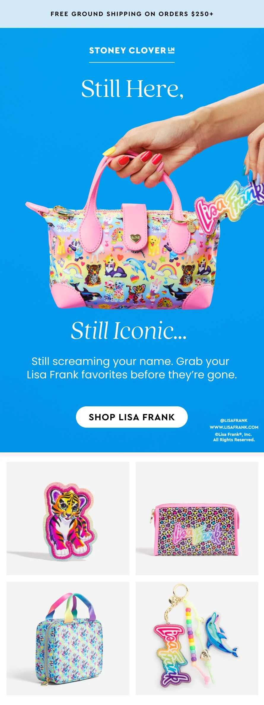 LISA FRANK 1.jpg