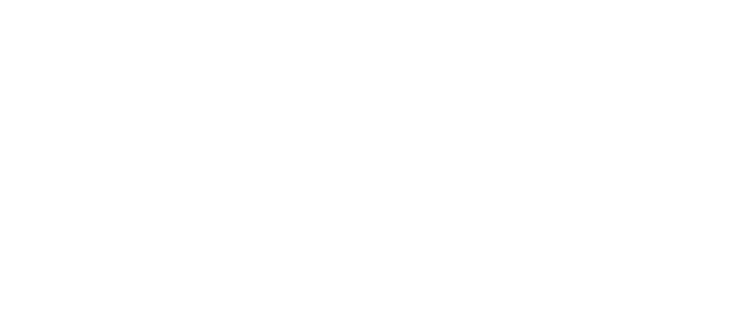 Two Minds Media