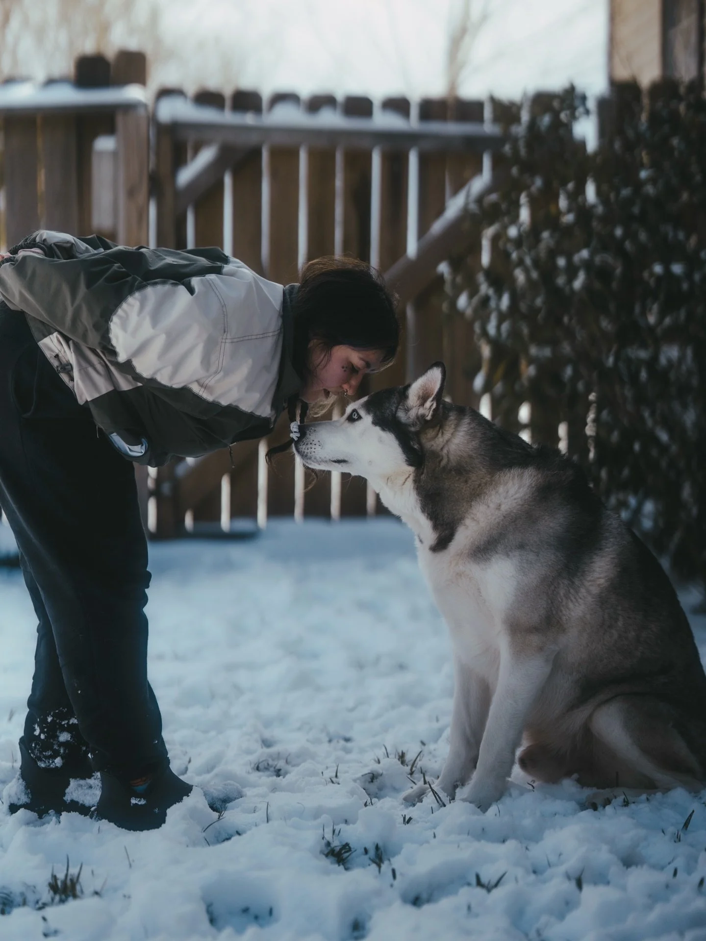 Let me capture these precious moments. Tomorrow isn&rsquo;t promised. 

To us they are apart of our lives, to them, we are their whole life. 

#houstonphotographers #petsofinstagram #petphotographer #houston