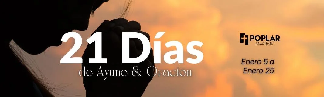 WhatsApp Image 2026-01-02 at 12.50.46 (1).jpeg