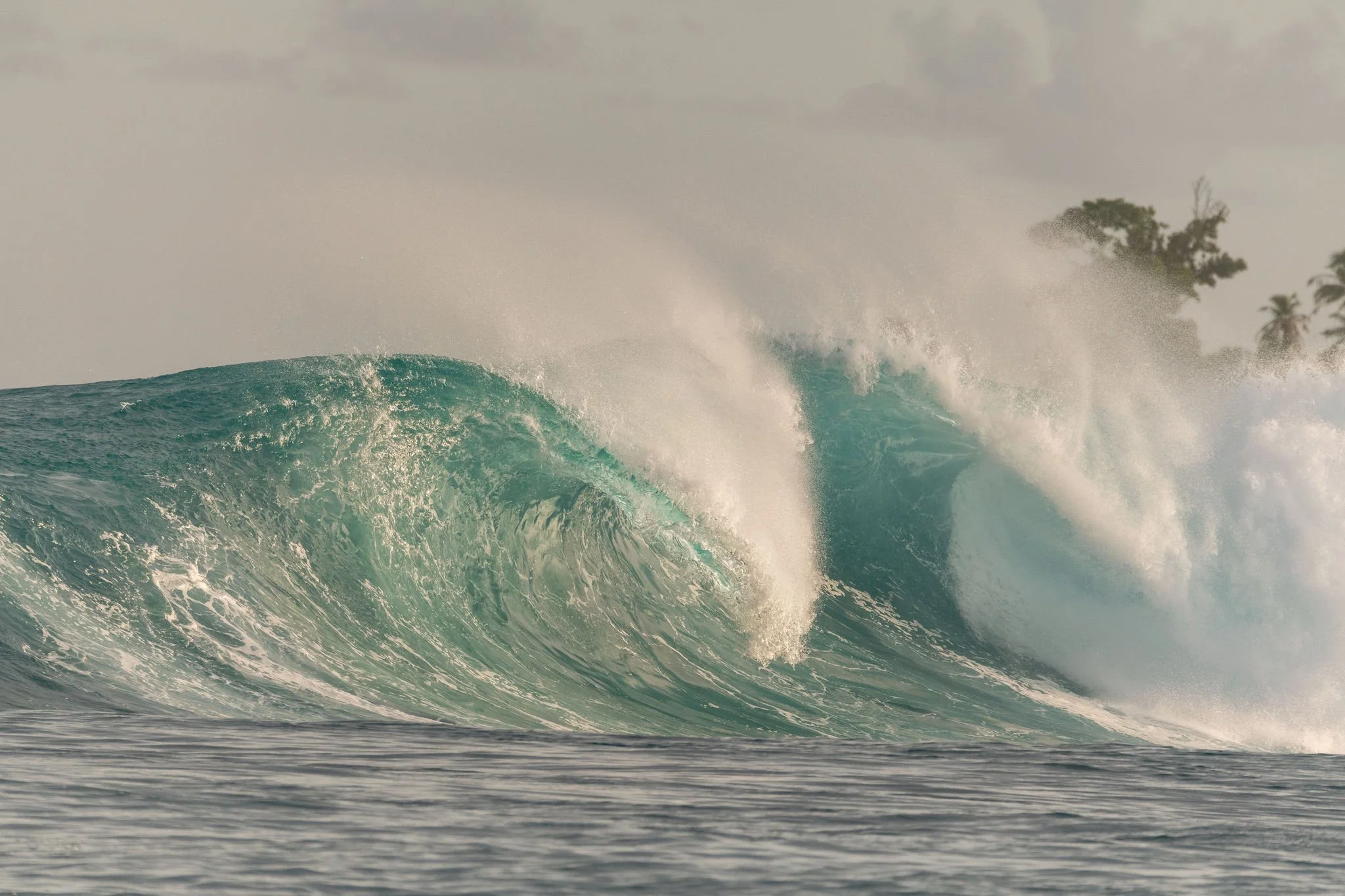 DSC_0064_1.jpg
