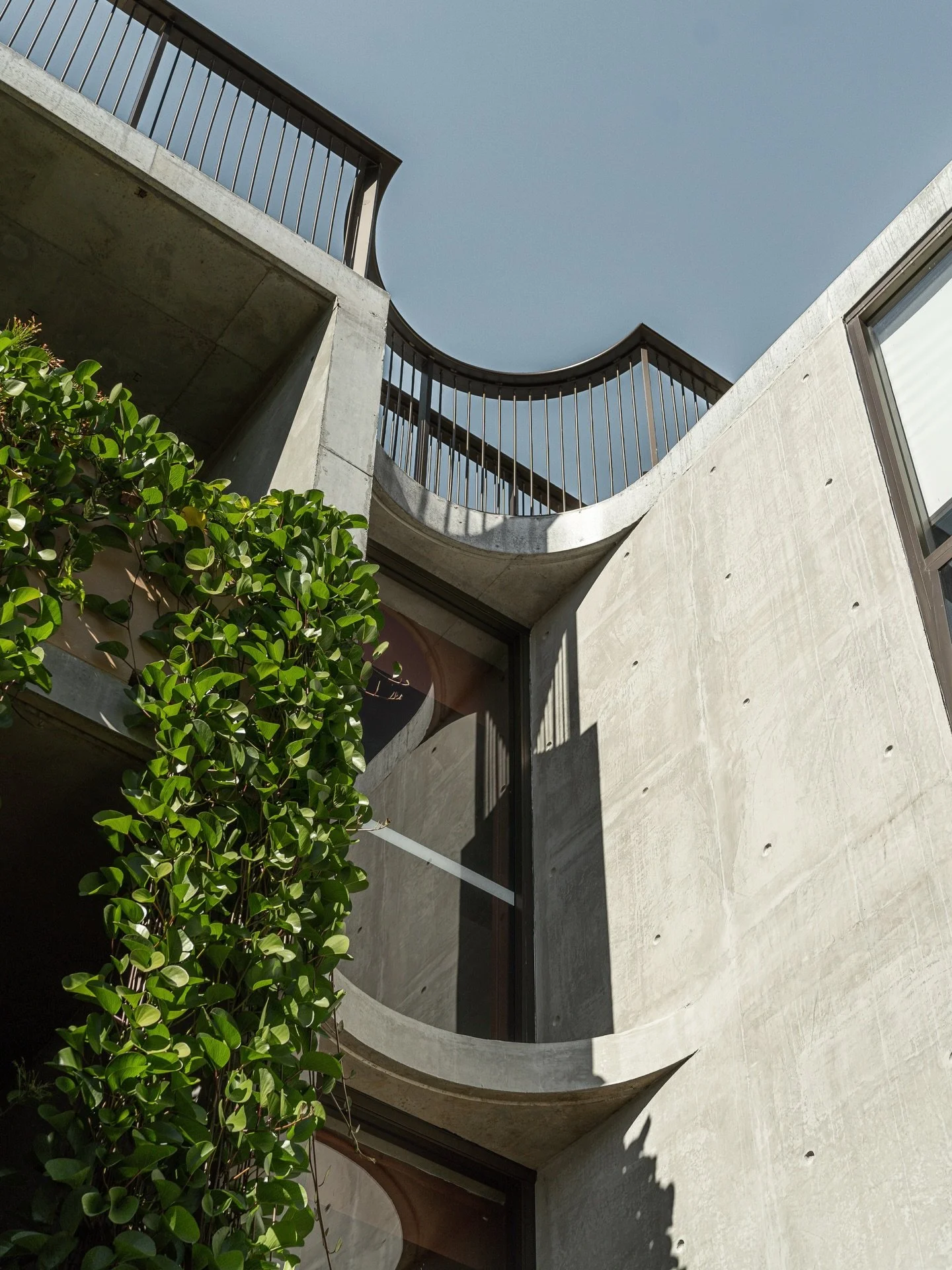Hanging gardens at Hotel Marvell
.
@hga.architects 
📸 @stillstudio_ss 
🌱 @larc_la 
.
.
.
#hotelmarvell #byronbayhotel #hoteldesign #boutiquehotel
