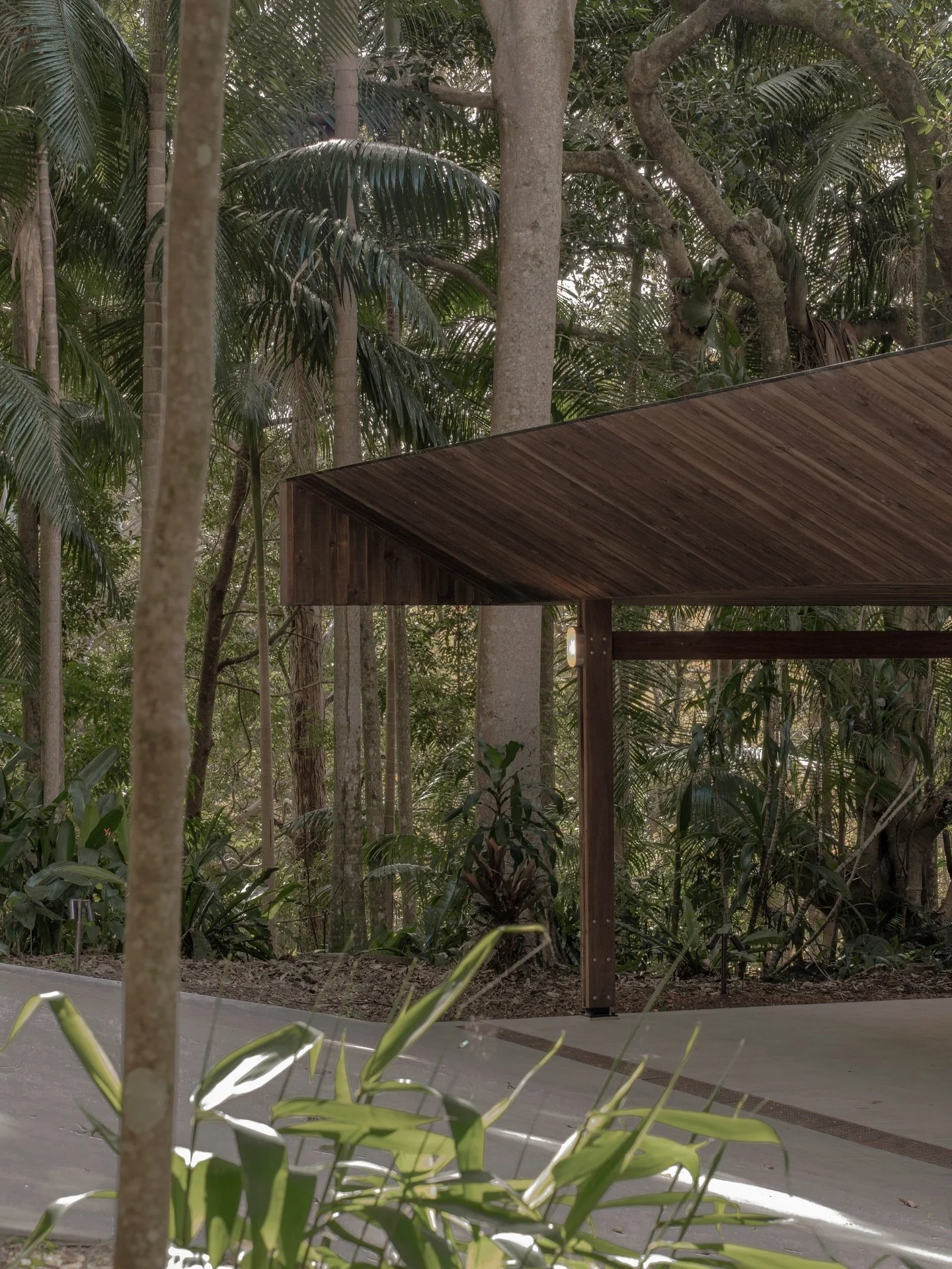 Lanterns on 🏮 
🔨 @jdbuilt_ 
📸 #studiomoda
.
.
.
.
.
.
.
.
.
.
.
.
.
#byronbayarchitecture #junglecarport #architecturalcarport #tropitecture