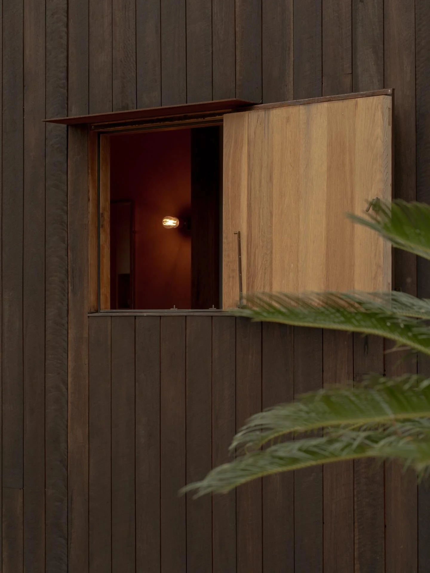 Dark spotted gum cladding and slim profiled window hoods on Wallabies Watch
.
.
.
.
.
.
.
.
.
.
.
.
.
.
#myocum #byronbayhinterland #timbercladding #archiconcepts #archilovers #tropitecture #dezeen #divisare #ignant #archdaily #tropicalarchitecture #