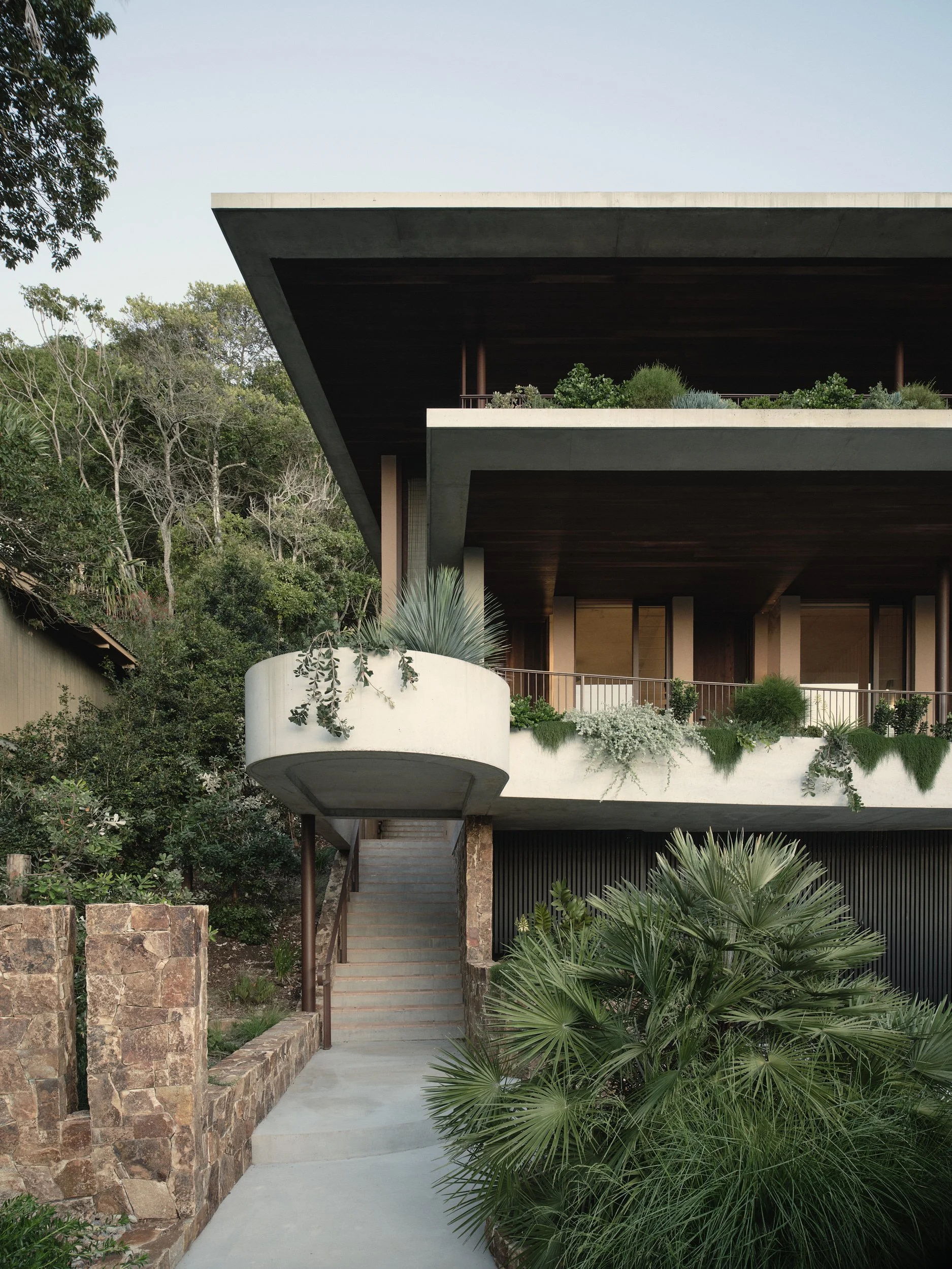 Modern multi-level house with concrete and wood exterior, lush greenery, and a staircase leading to the entrance surrounded by plants.