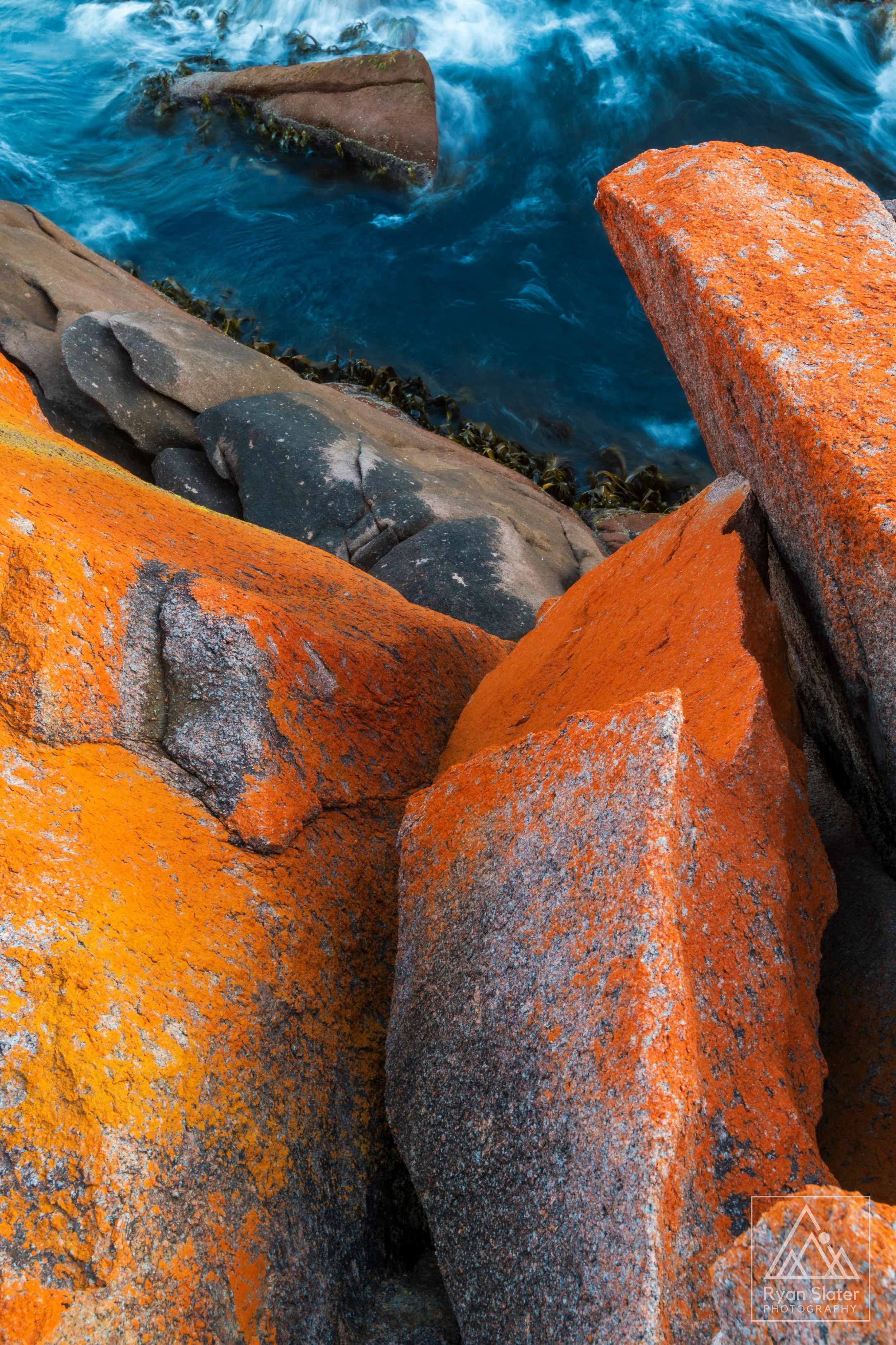 _DSC3009.jpg
