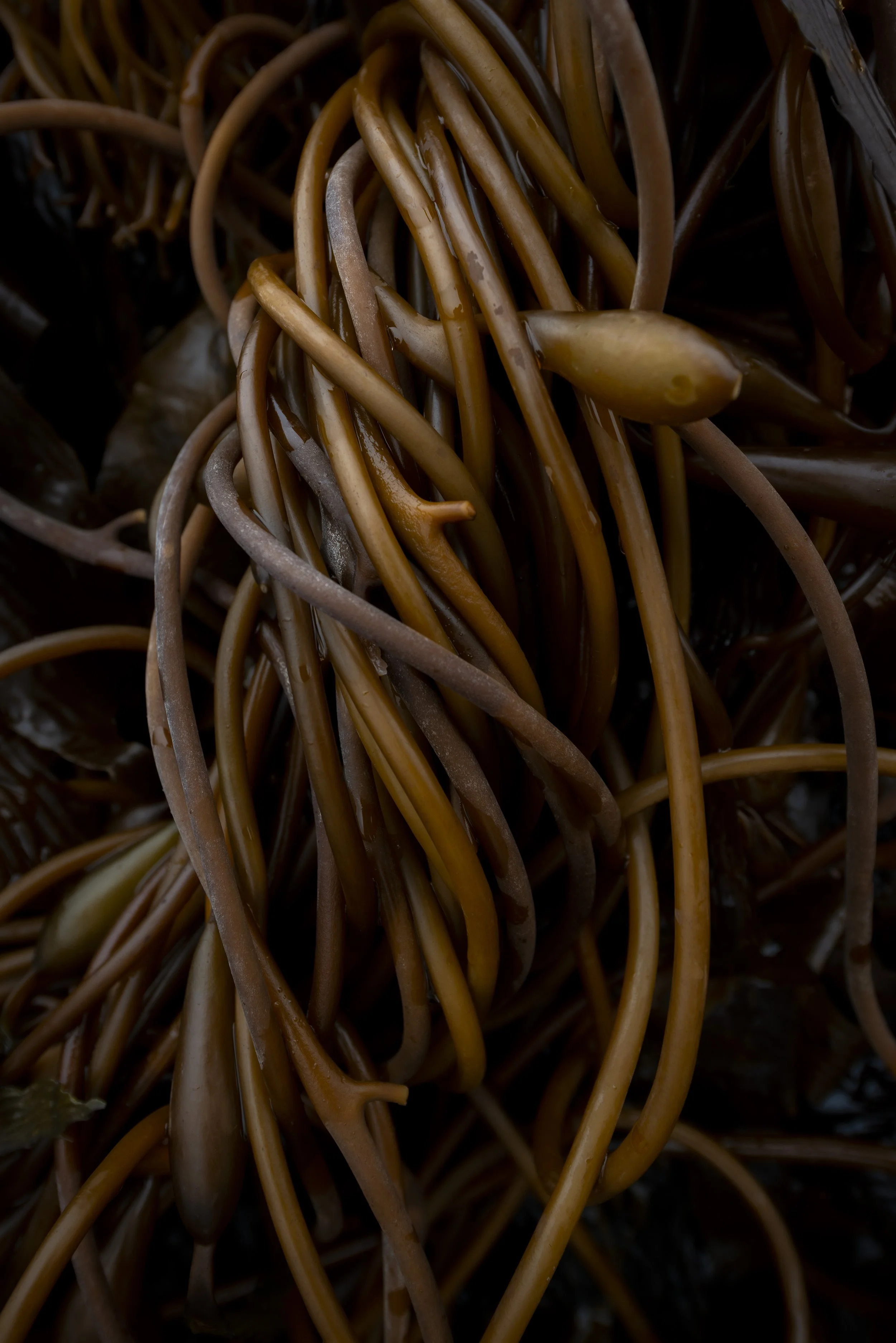 Tangle