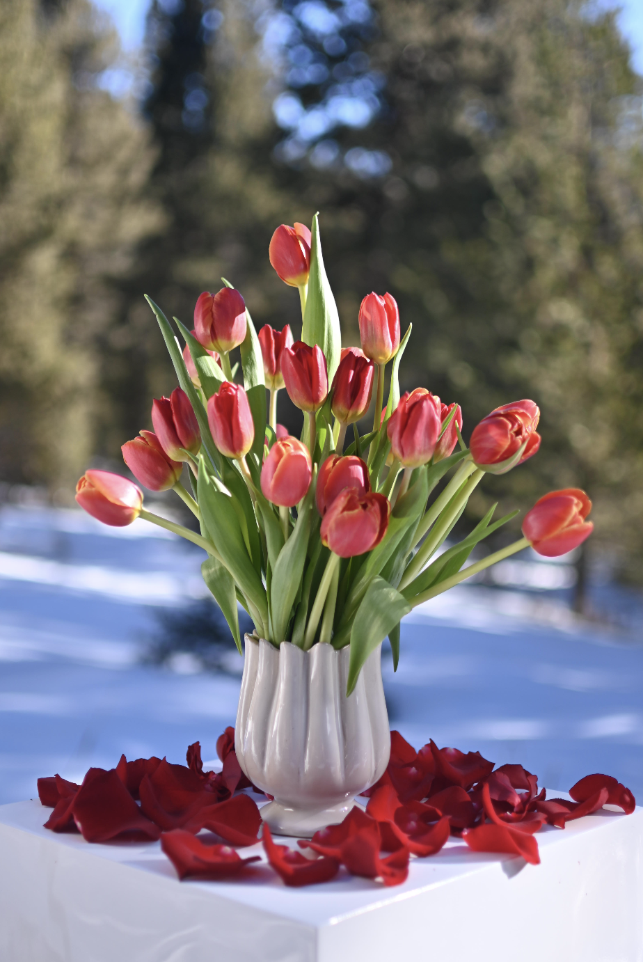 Screenshot 2026-01-15 at 1.30.20 PM.png