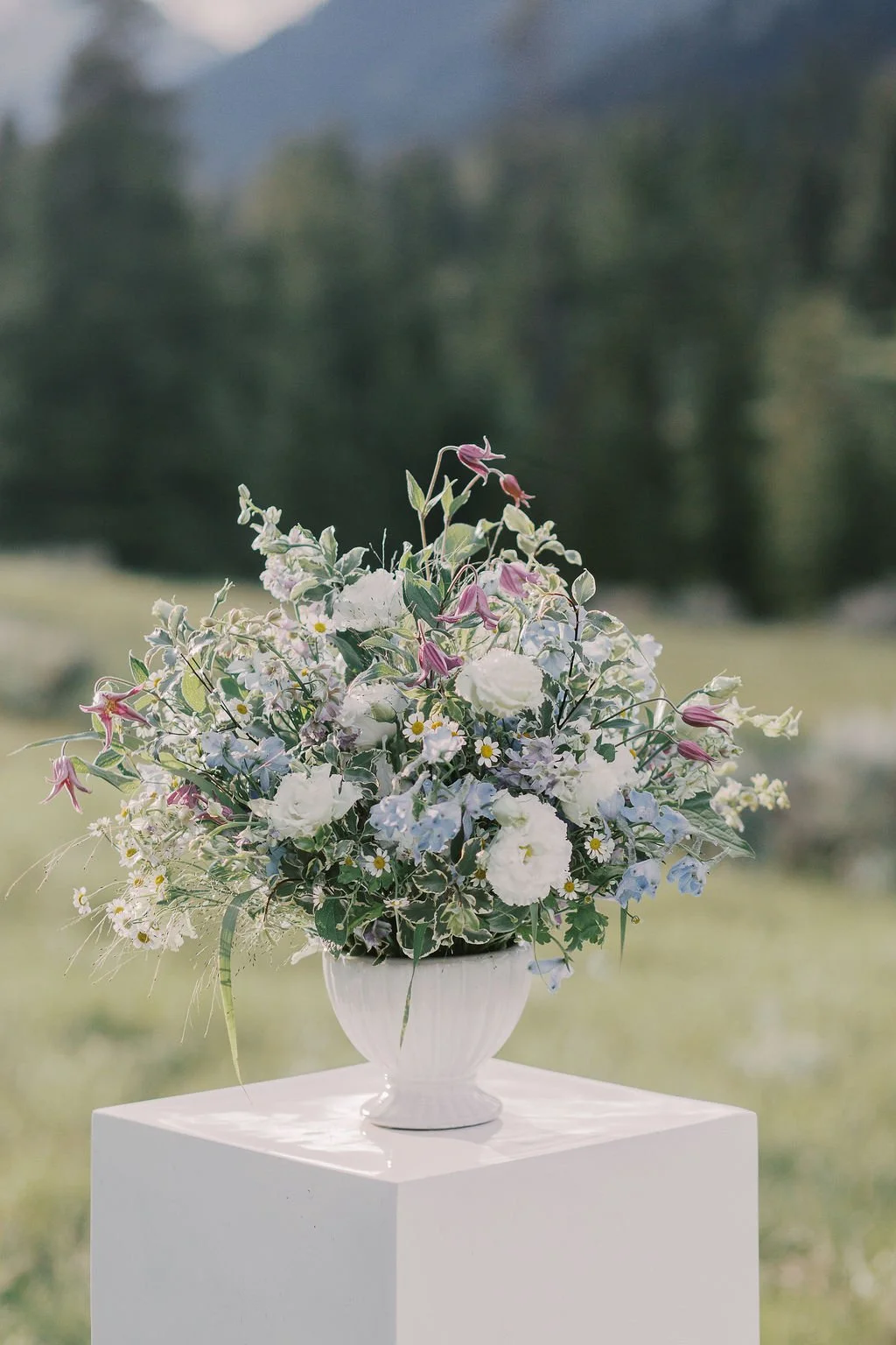 060126_BigSkyFamilyPhotographer_KelseyKradelPhotography_SugarandSpiceFlorals_summermenu_005.JPG