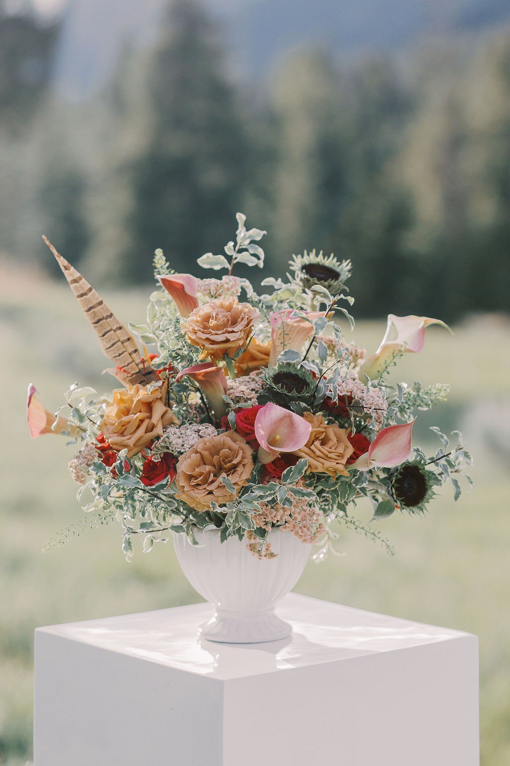 060126_BigSkyFamilyPhotographer_KelseyKradelPhotography_SugarandSpiceFlorals_summermenu_001.JPG