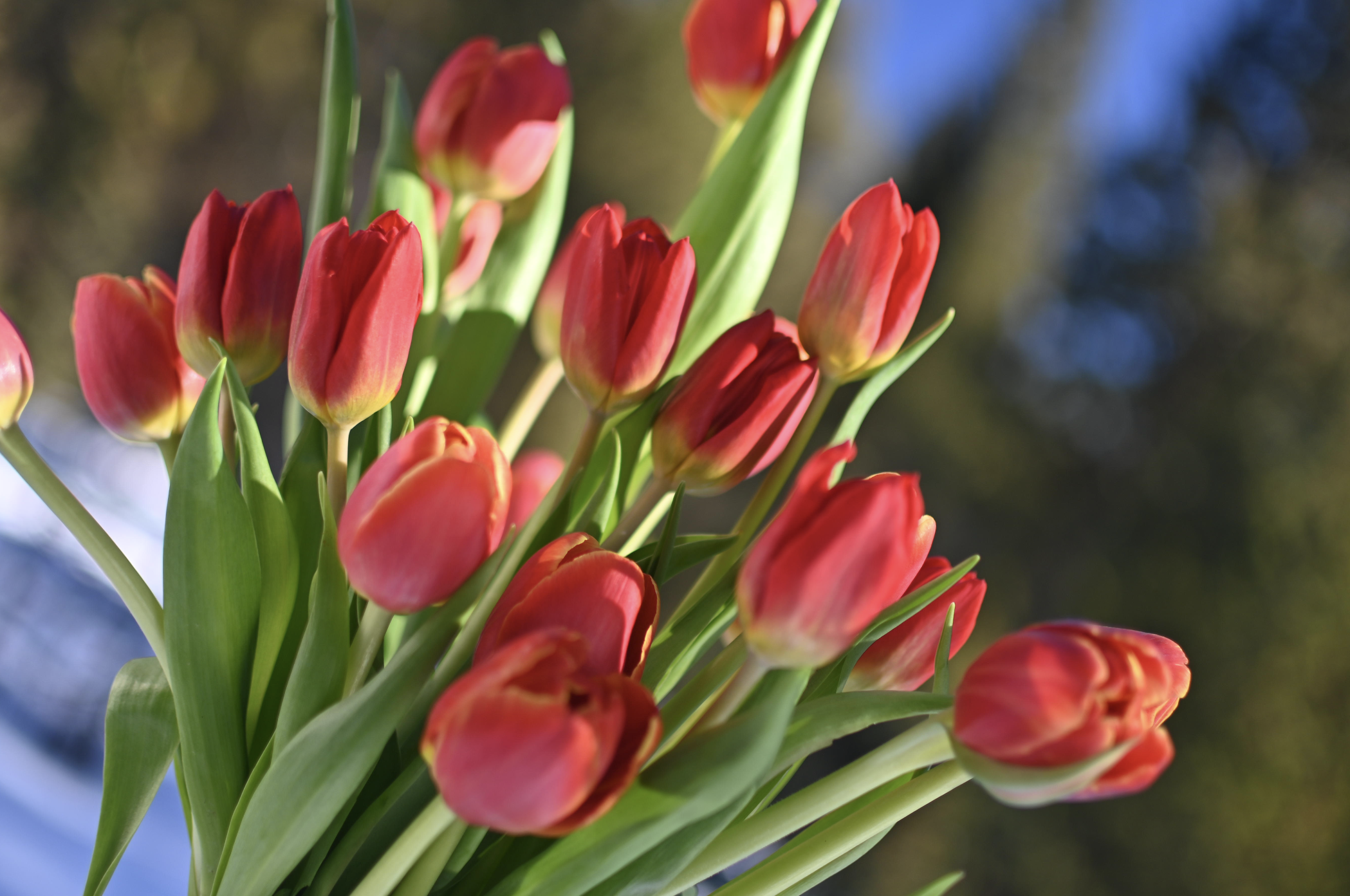 Screenshot 2026-01-15 at 1.30.30 PM.png