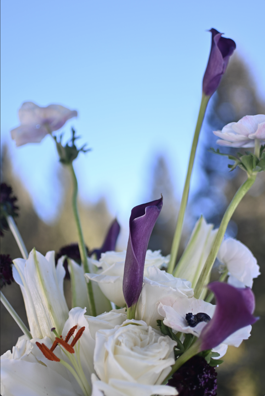 Screenshot 2026-01-15 at 1.31.33 PM.png