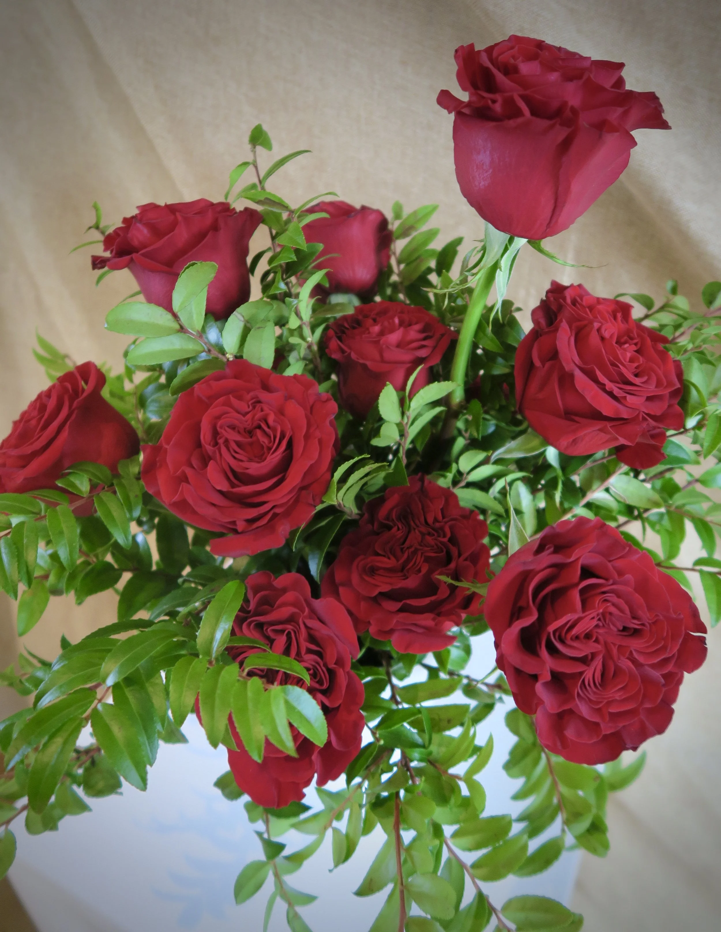 Huckleberry Red Roses