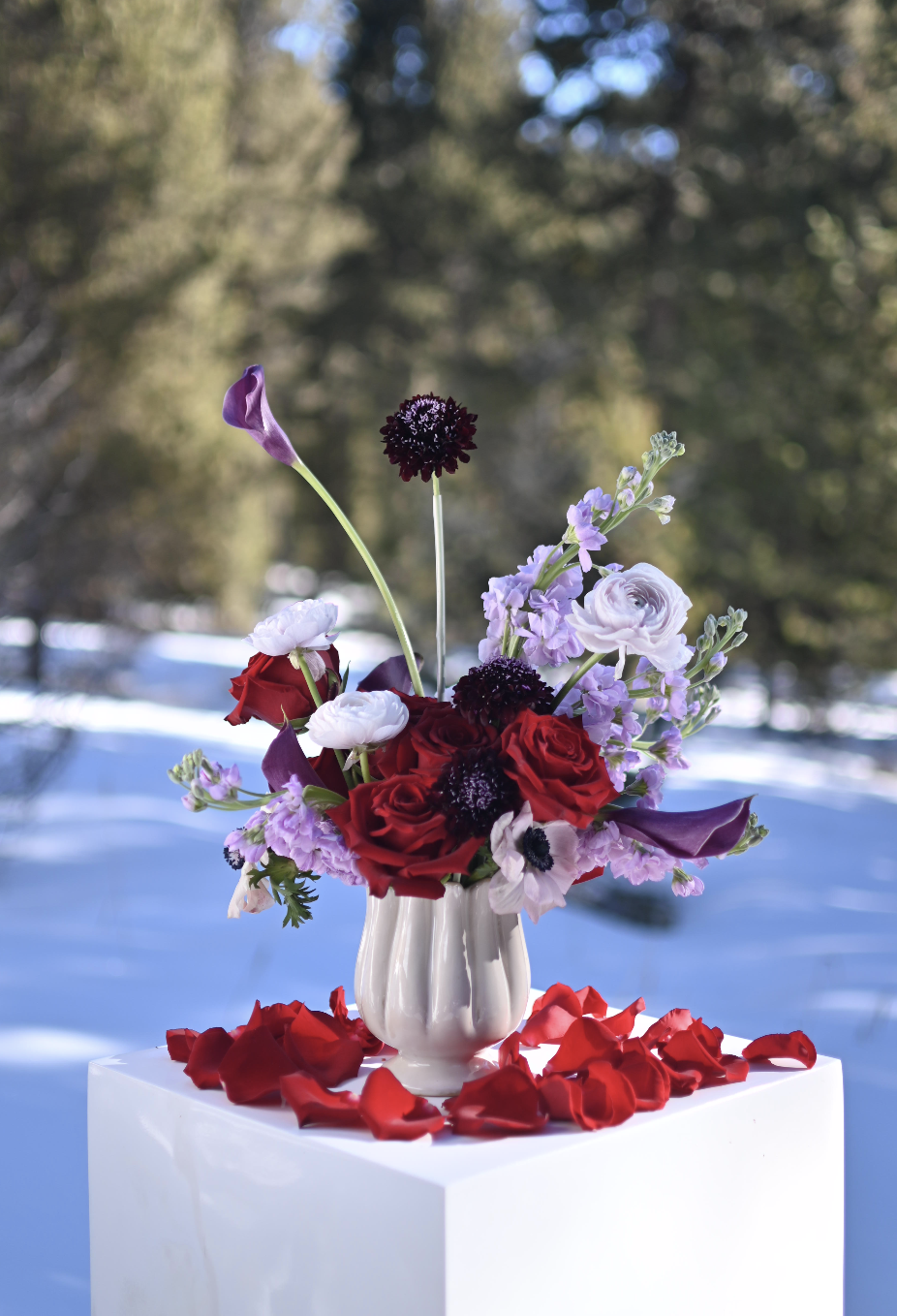 Screenshot 2026-01-14 at 9.23.24 PM.png