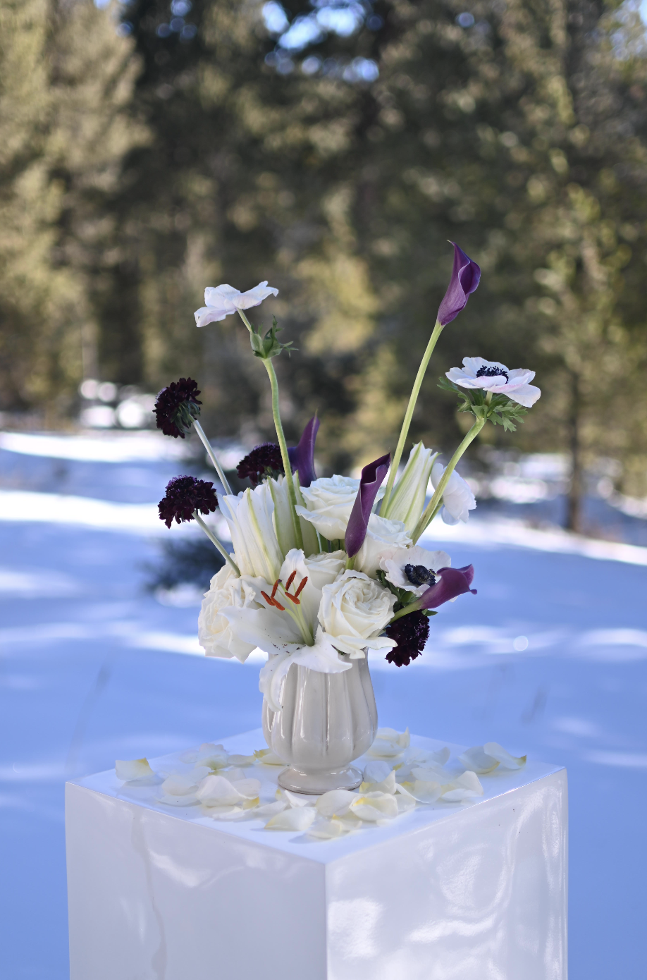 Screenshot 2026-01-15 at 1.31.52 PM.png