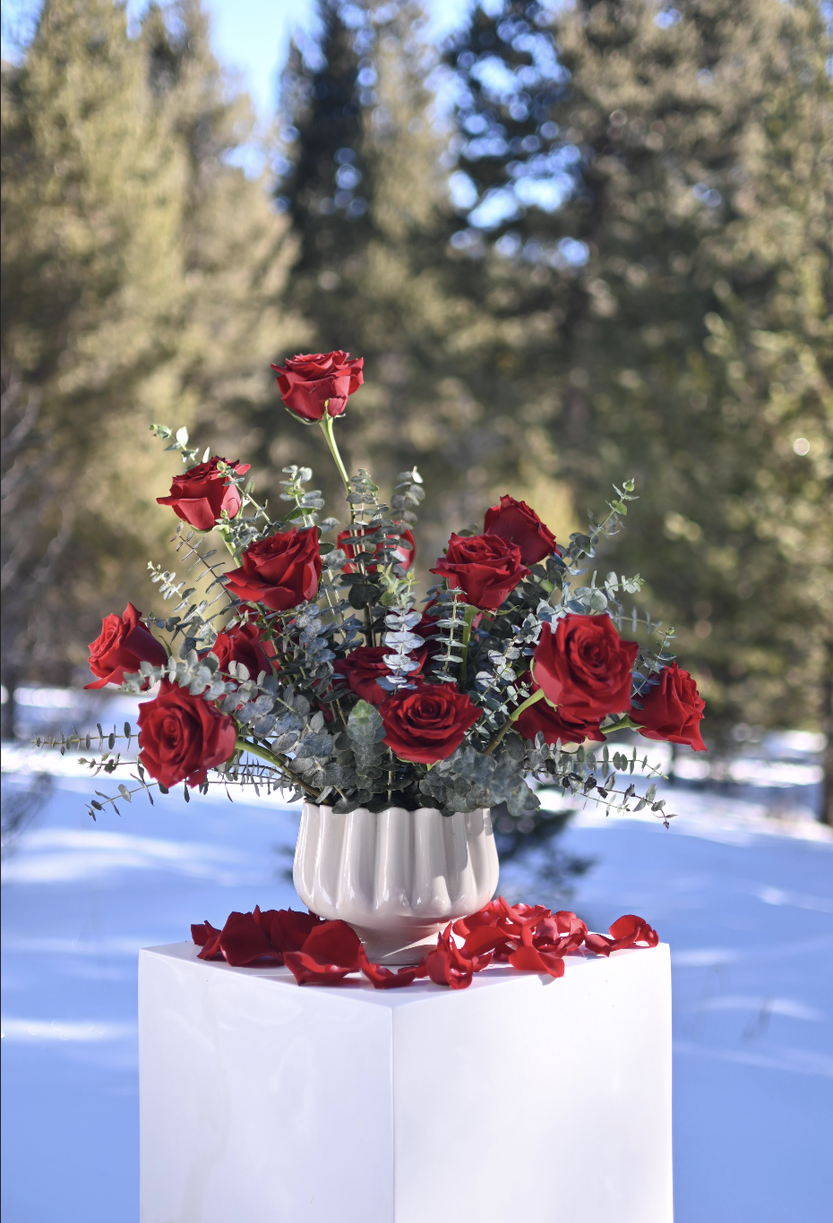 Screenshot 2026-01-14 at 9.14.07 PM.png