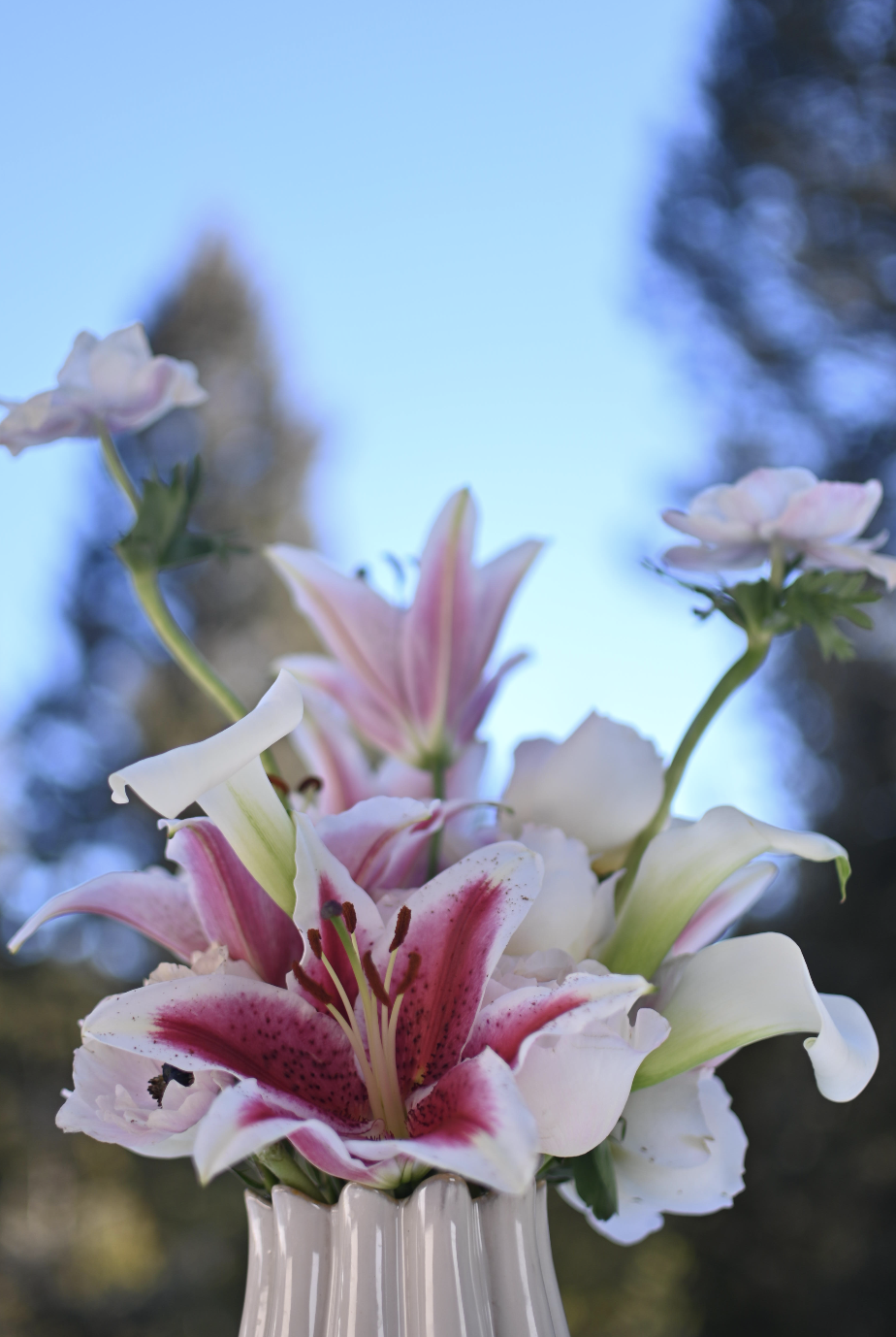 Screenshot 2026-01-15 at 1.29.03 PM.png