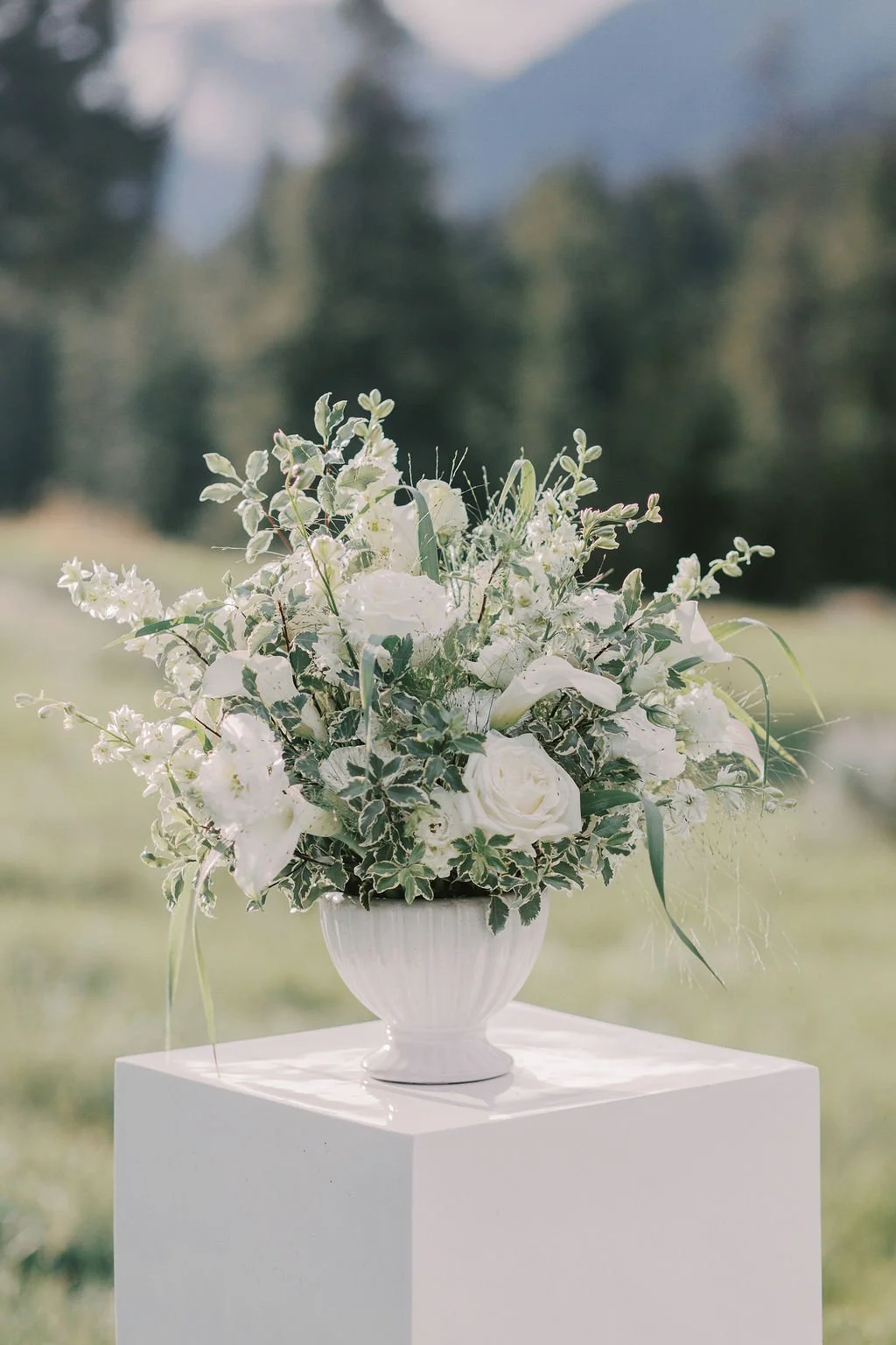 060126_BigSkyFamilyPhotographer_KelseyKradelPhotography_SugarandSpiceFlorals_summermenu_003.JPG