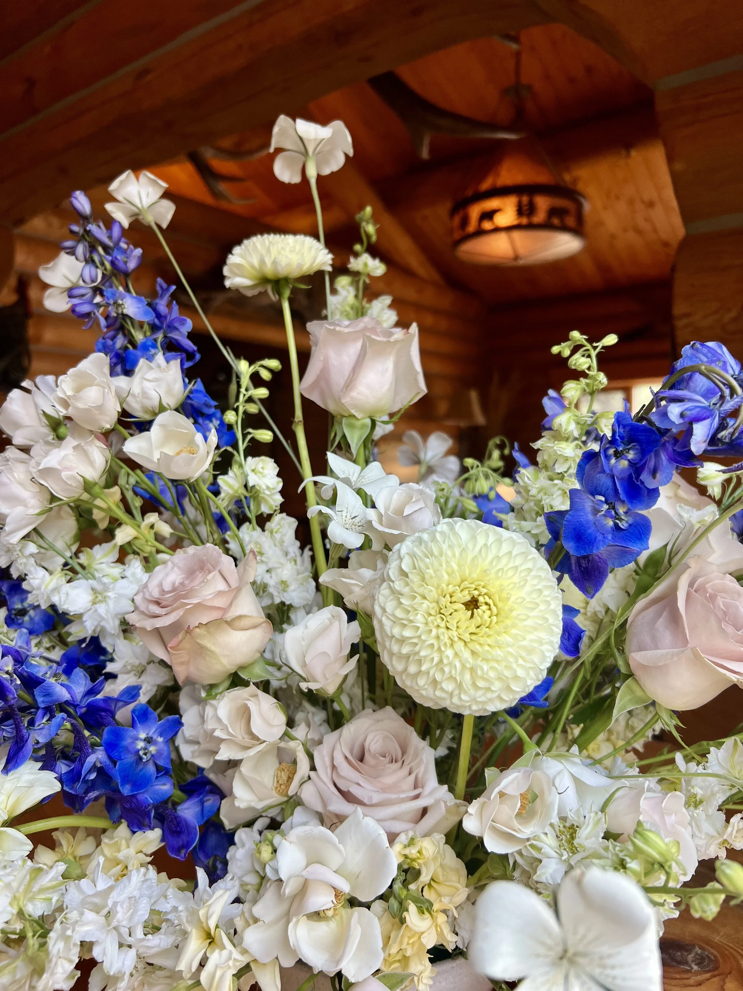 Mountain Mama Macro.JPG