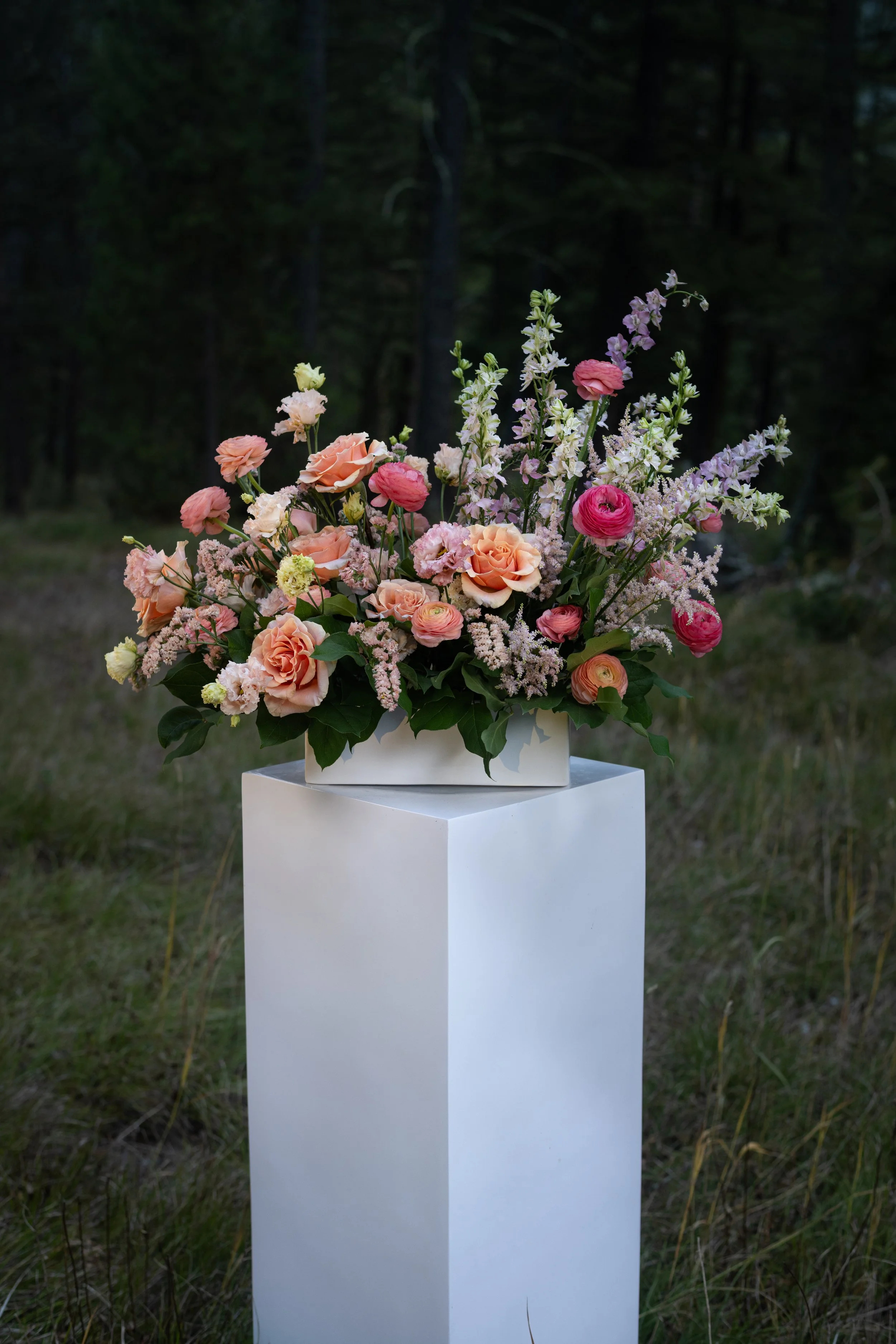 Spanish Peaks Sunrise Arrangement.JPG