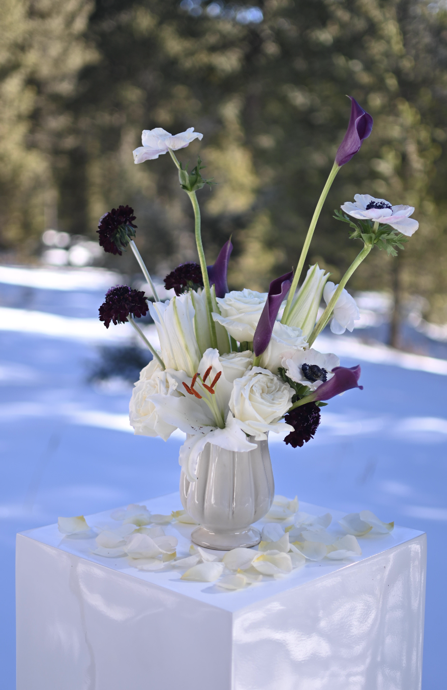 Screenshot 2026-01-15 at 1.31.08 PM.png