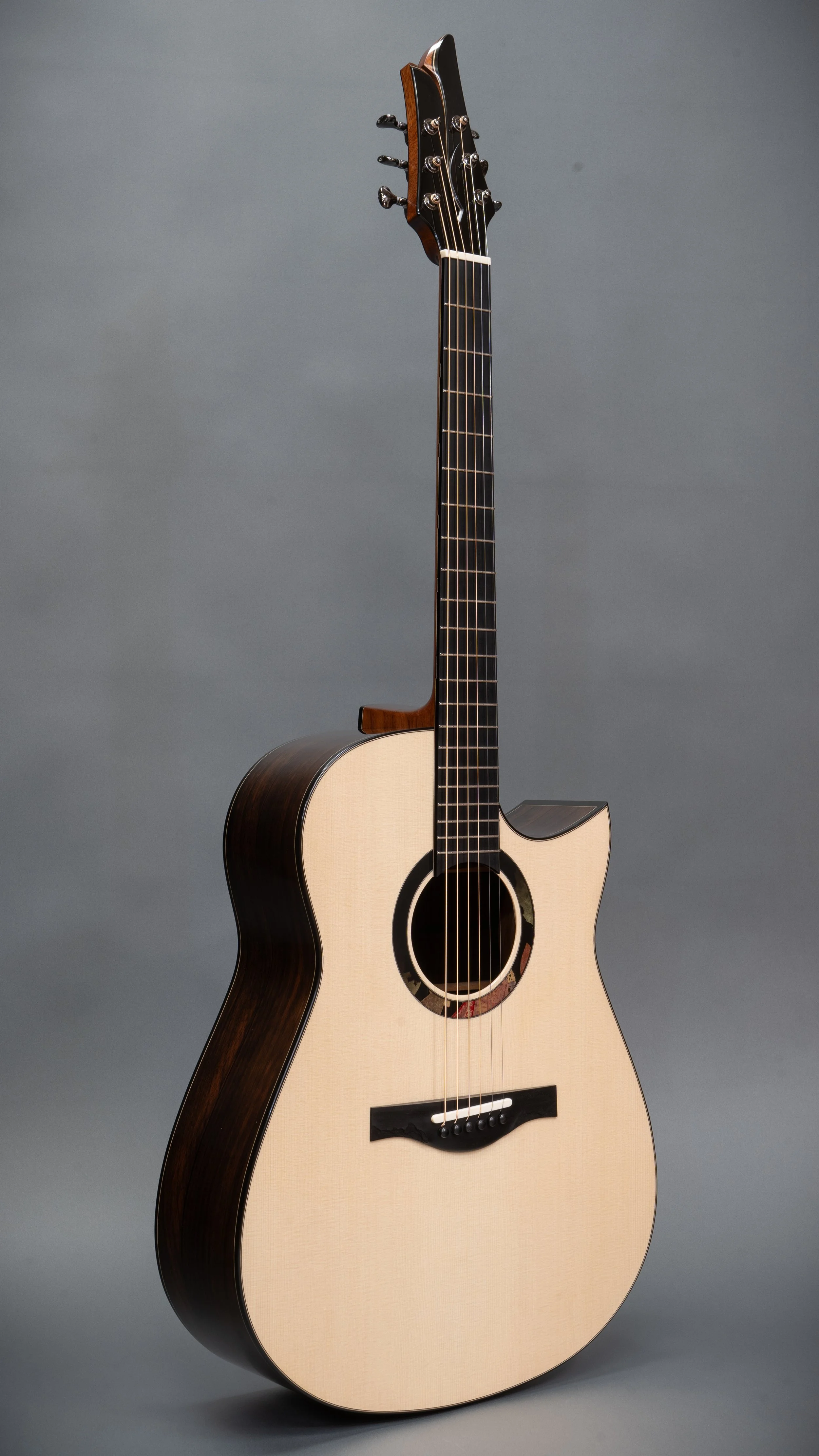 Silverman guitar, Ervin Somogyi apprenticeship