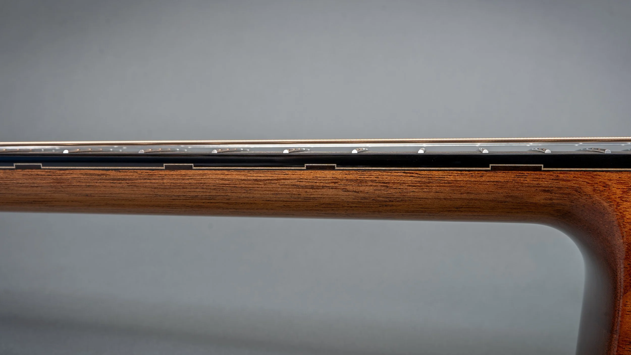 Silverman guitar fretboard side markers.