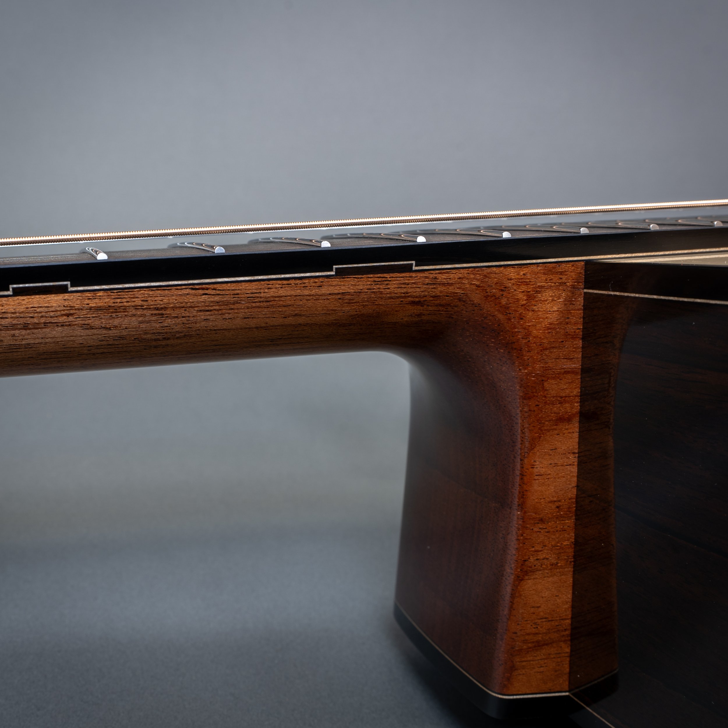 Fretboard side markers.