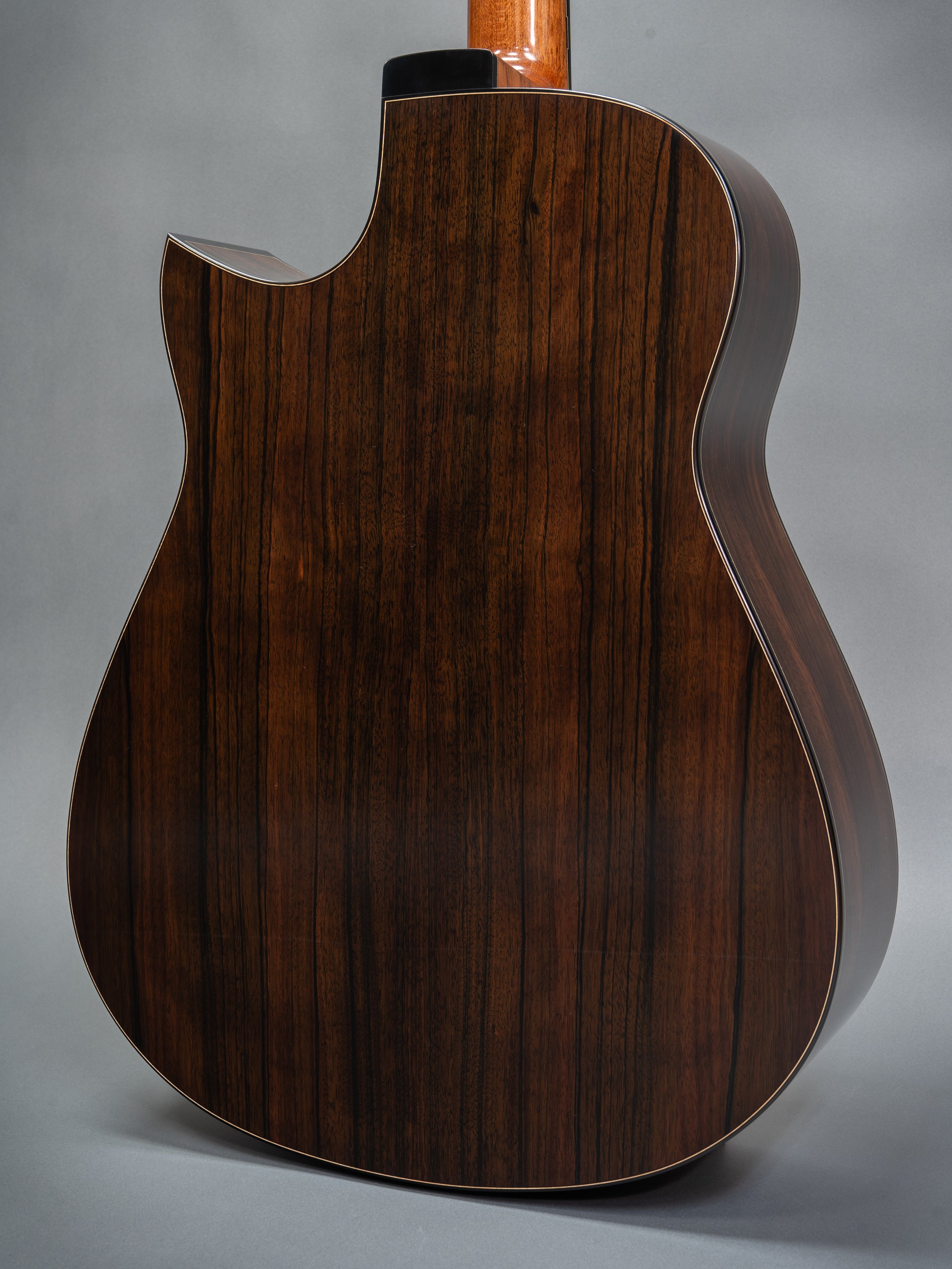 Malaysian Blackwood back and sides, Silverman acoustic guitar.