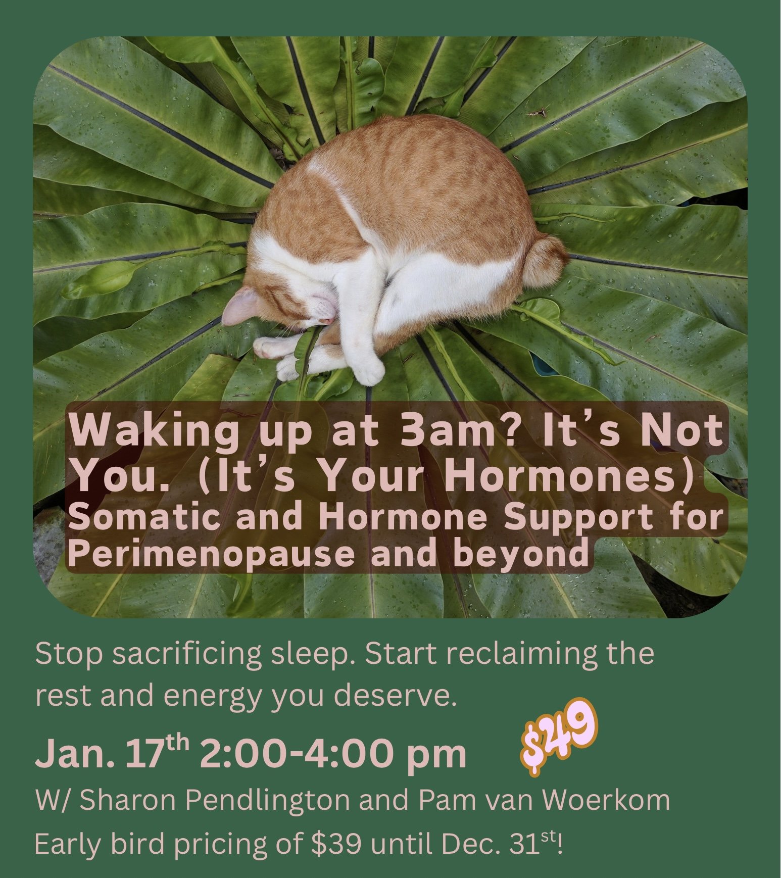 Waking up at 3am? It’s Not You. (It’s Your Hormones) Somatic and Hormone Support for Perimenopause and beyond