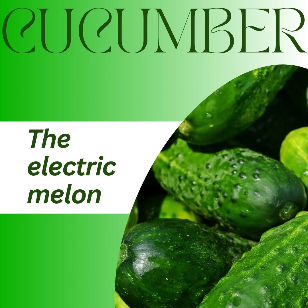 You can&rsquo;t hack something broken into being fixed, and you can&rsquo;t biohack someone who&rsquo;s sick into being well.

Hacking, by definition, is gaining unauthorized access. But why look for some sneaky back door, when you can just march rig