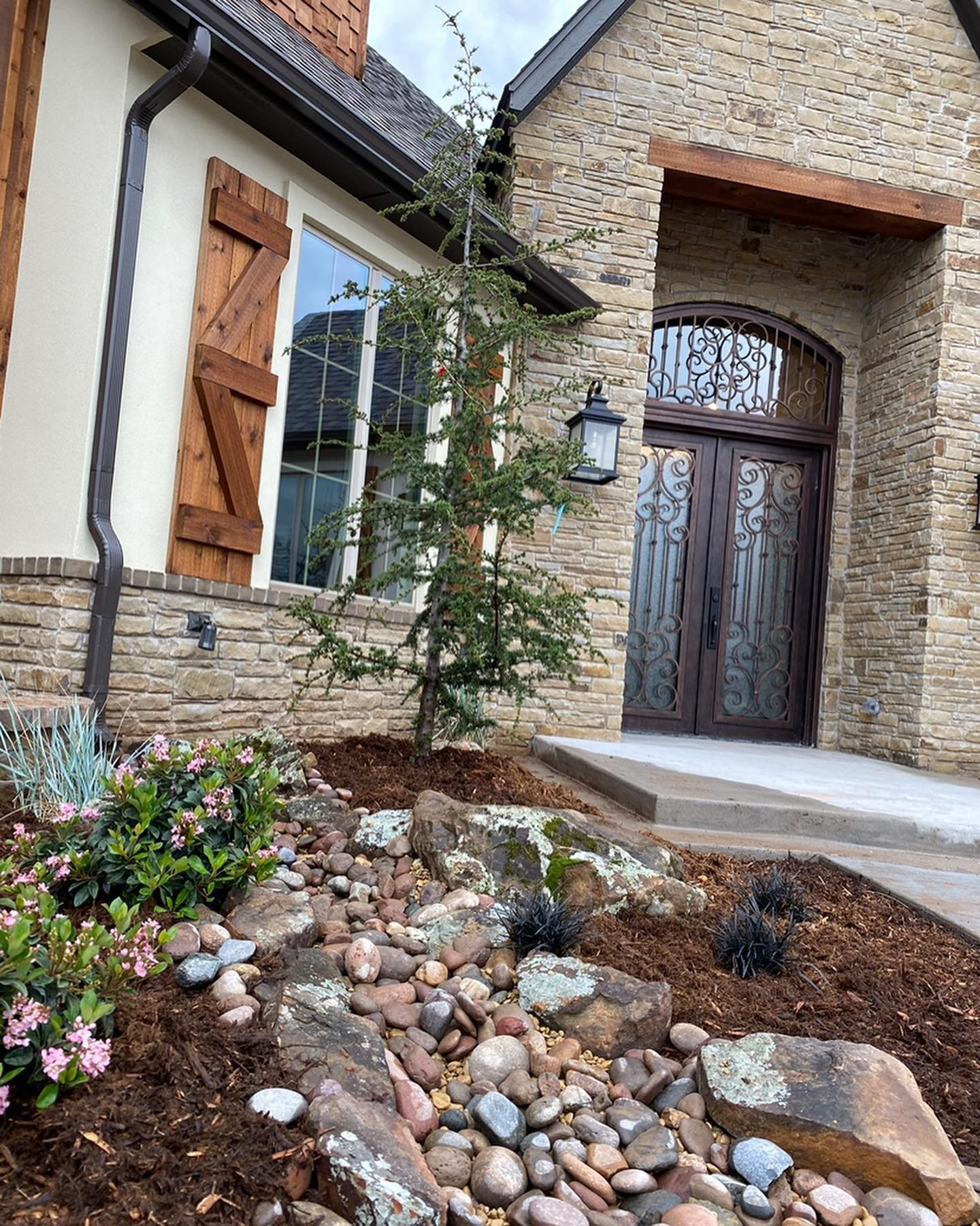 🌸🌳This design was one of our favorites! Some highlights of this design were our Brevifolia cedars, Indian Hawthorn, Blue Dune and Black Mondo grasses! We loved the way they all came together to give this client a unique design. Is yours next? 🌸🌳