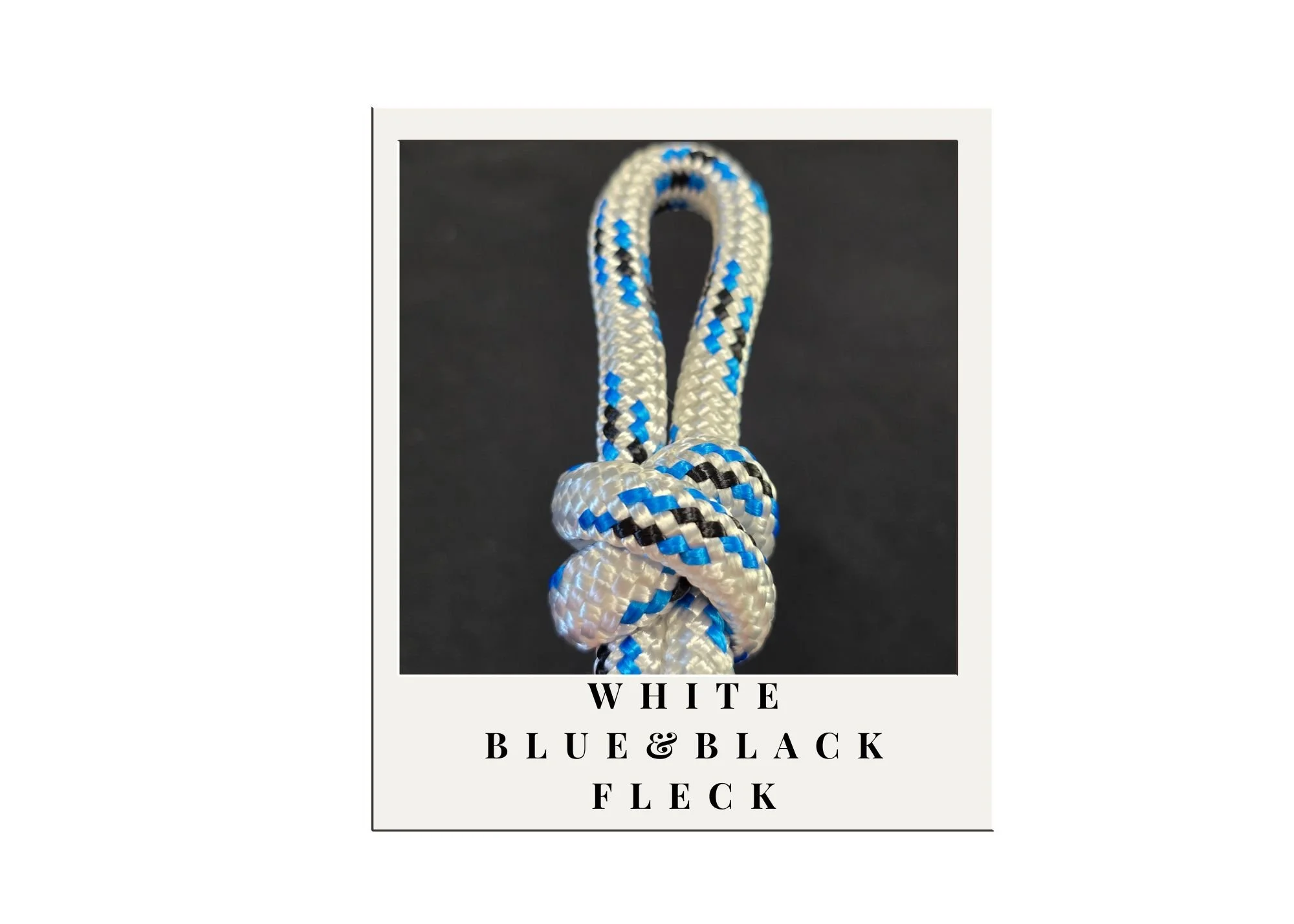 white with blue and black.jpg