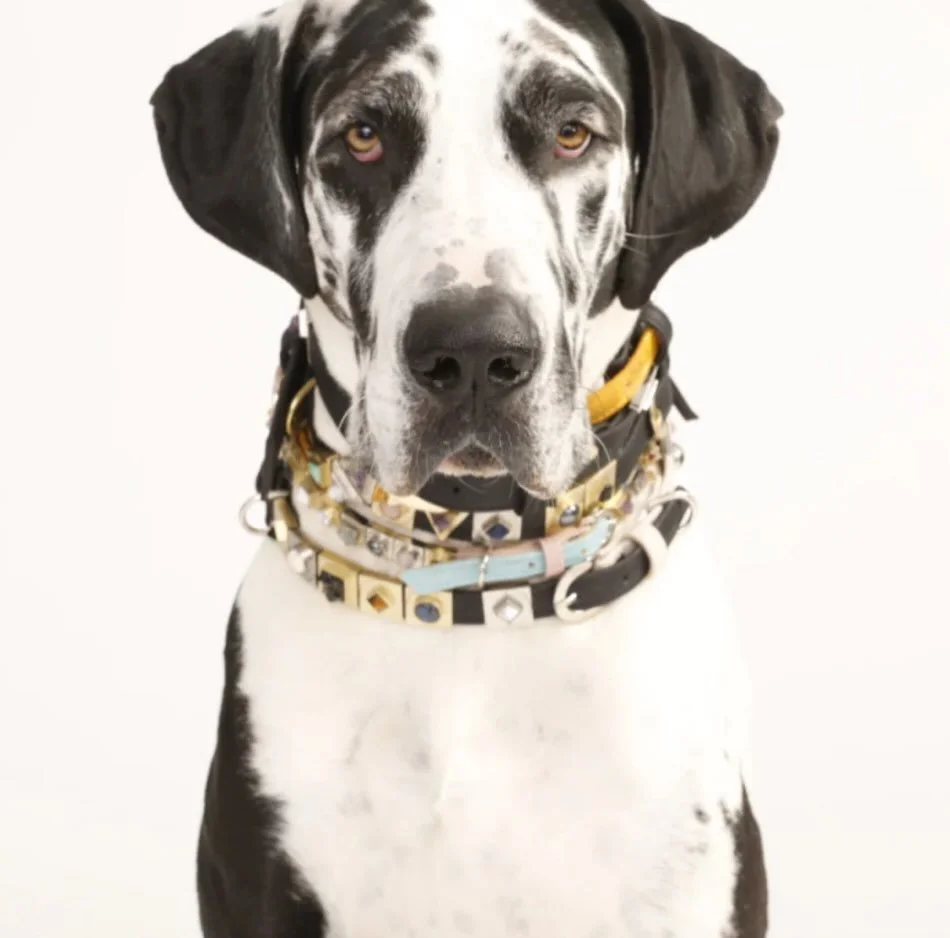 ☀️This Saturday, March 14th, join us at Studio City&rsquo;s fave hang @shopsatsportsmenslodge for a beautiful day of shopping small, shopping local and having some fun in 2026! (And yes, you should bring your dog!) 🐕 

From 10am-4pm we&rsquo;ll be j