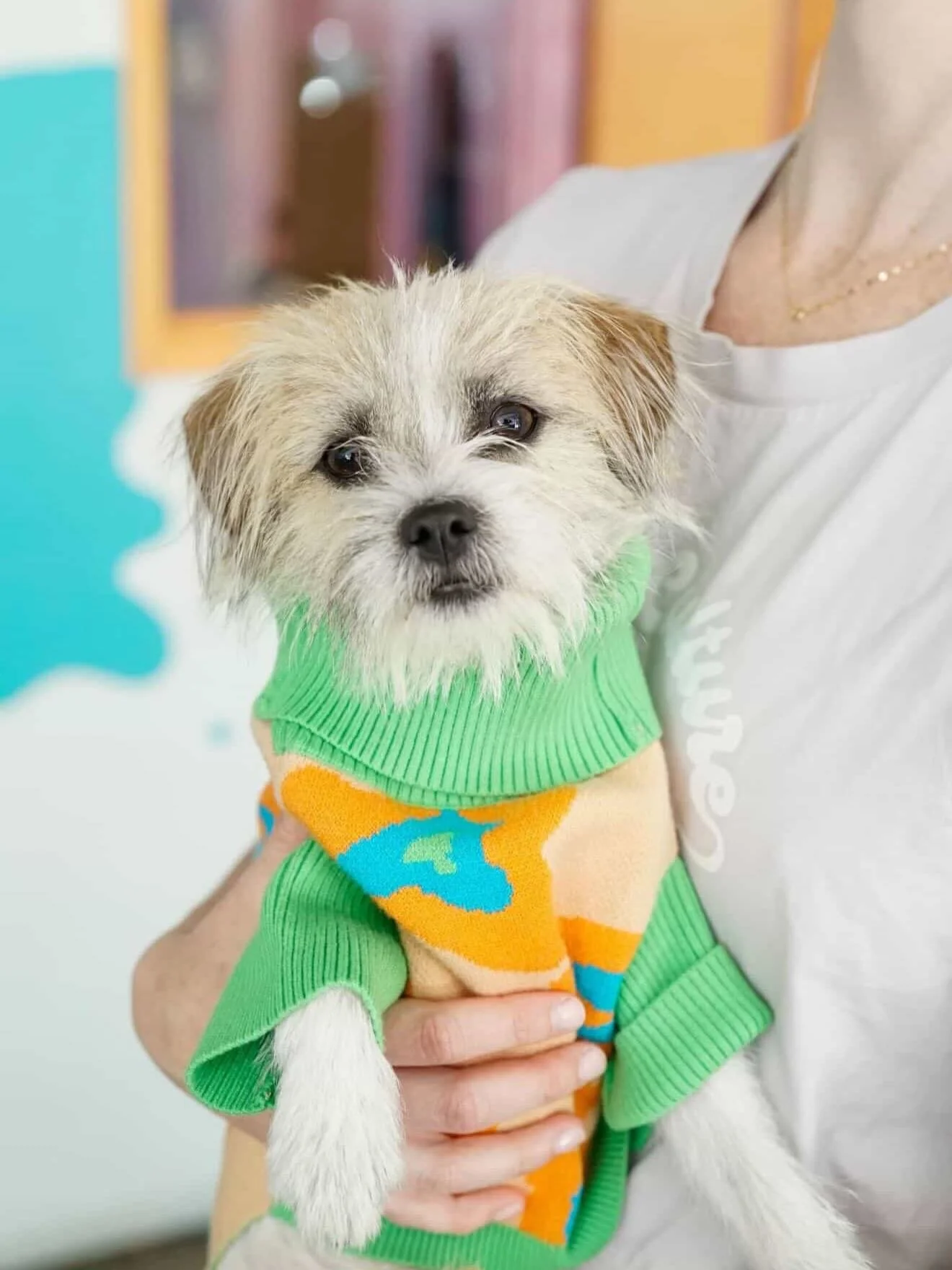 Meet your new BFF this Saturday!☀️ You may not have even known you needed to yet but they&rsquo;re here- some of the very best rescue pups in town, and they are ready to find their Furever homes!! 

Be there for @sunshinemakersmarket at @pasadenacomm