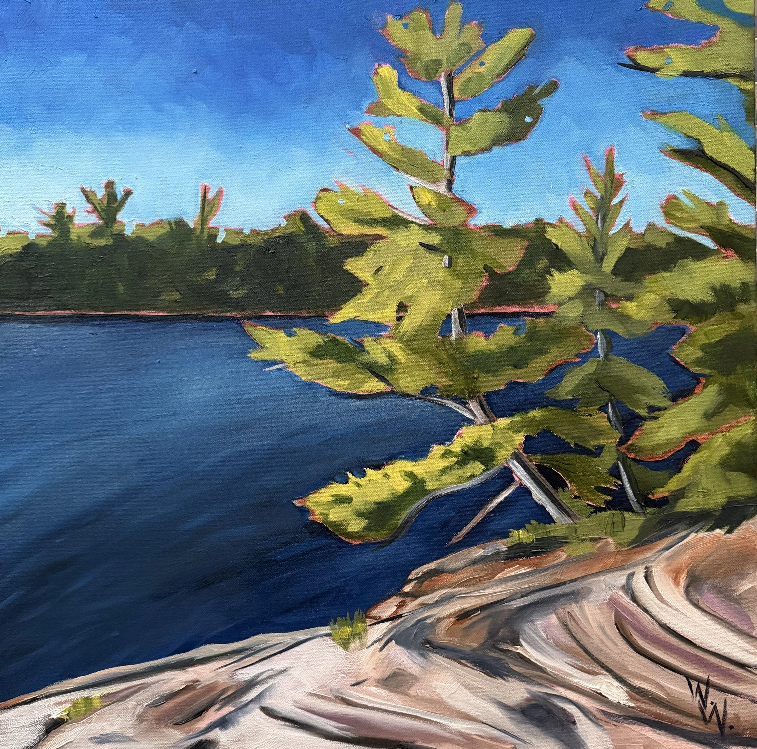 Windswept Pines Paintings