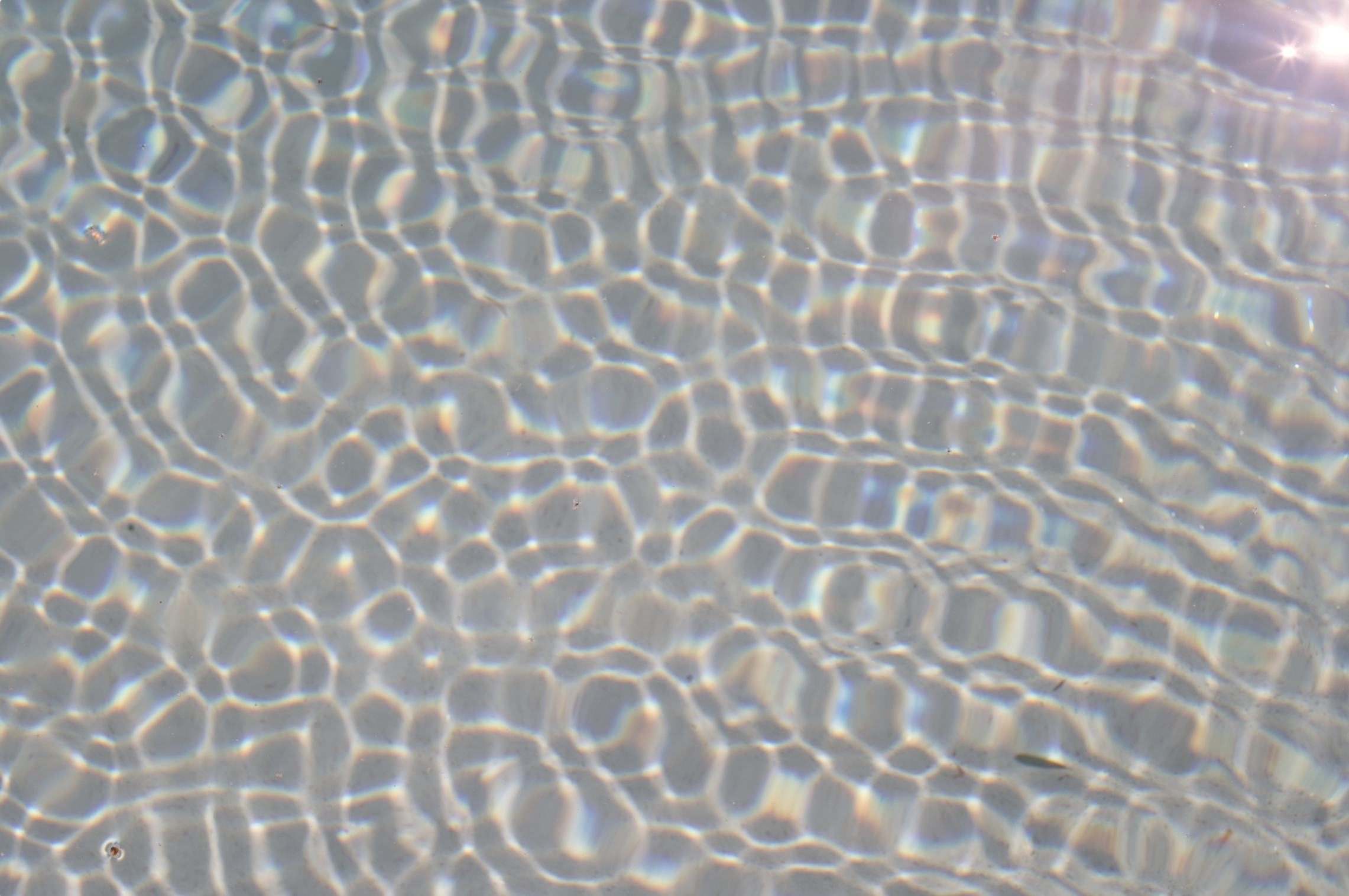 Screen Shot 2024-01-16 at 2.16.15 pm.png