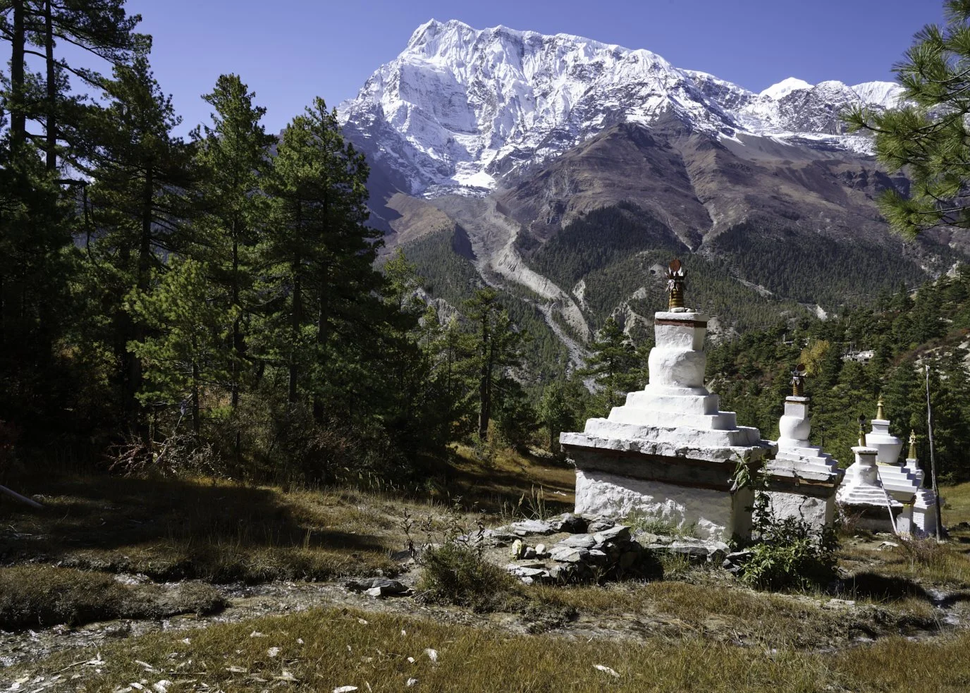 Gompas overlooking Bragha