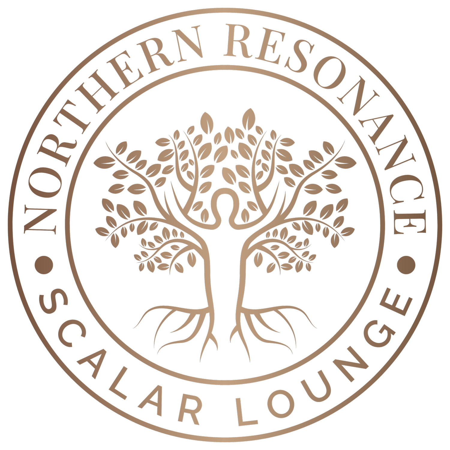 Image showcasing Energy Enhancement System (EES) — Northern Resonance EES
