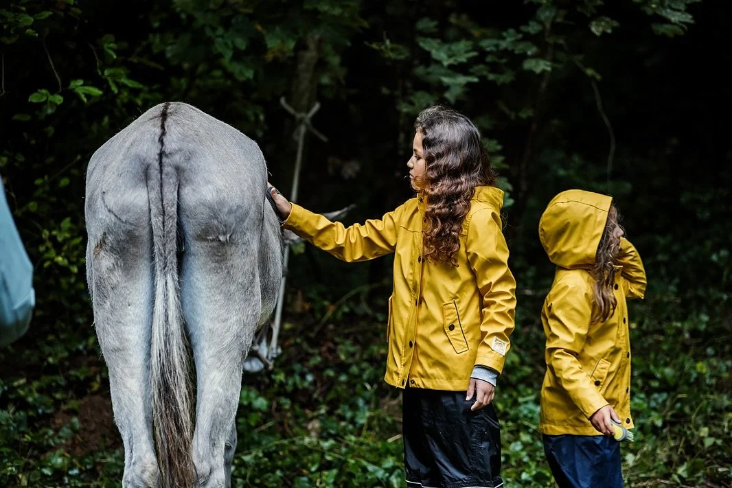 Eine unerwartete Freundschaft. 🫏
Eigentlich wollte sie beim Eseltrekking, das wir Mitte September gemacht haben, einen ganz anderen Esel f&uuml;hren. Eine kleine, rundliche Eselin namens Ronja, die den Wagen mitzog, auf dem die kleineren Kinder zwis