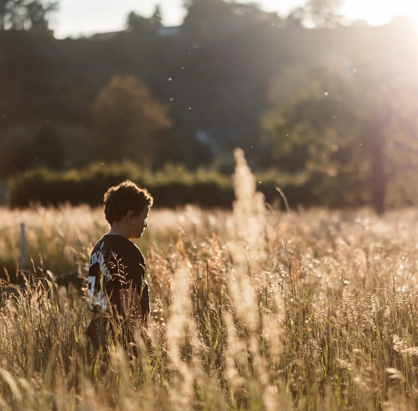 Seit mich das Licht in Island wieder neu inspiriert hat, m&ouml;chte ich mich wieder viel mehr von Licht und Schatten leiten lassen in meiner Fotografie. Neues ausprobieren, mich selbst kreativ herausfordern, in verschiedensten Lichtsituationen zu fo
