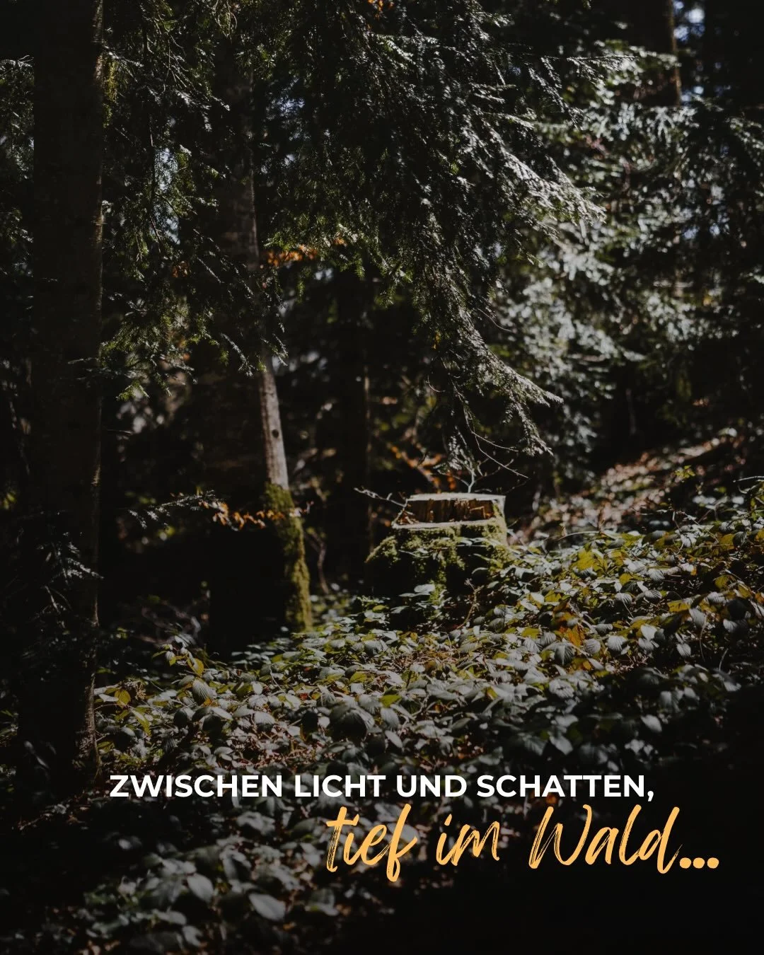 Schon l&auml;nger k&auml;mpfe ich damit, dass meine Kreativit&auml;t leiser geworden ist.

Nicht weg - aber auch nicht so klar wie sonst.
Ich zweifle mehr. Denke mehr nach.
Hinterfrage immer wieder alles.

Und wenn ich ehrlich bin, ist das nicht so e