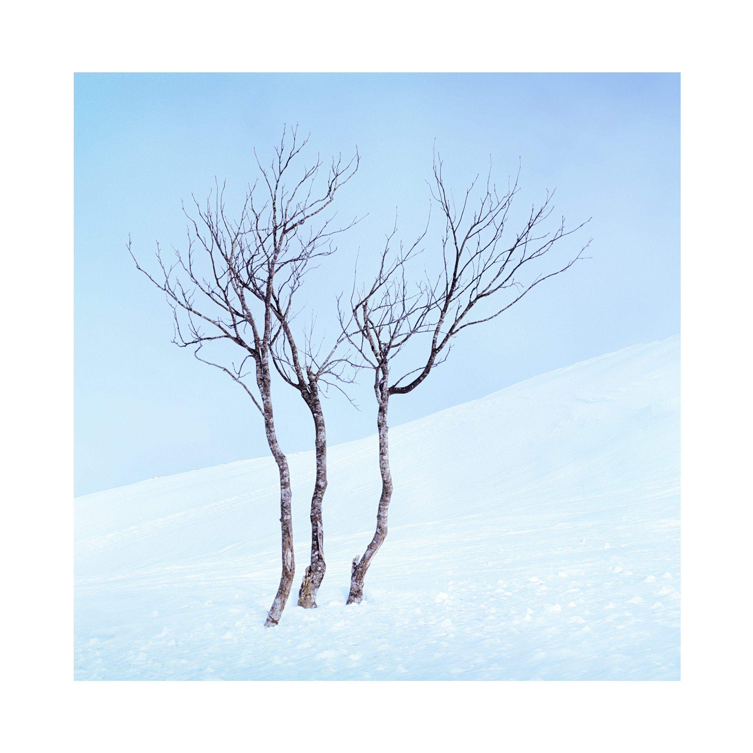 26_hokkaido_11.jpg