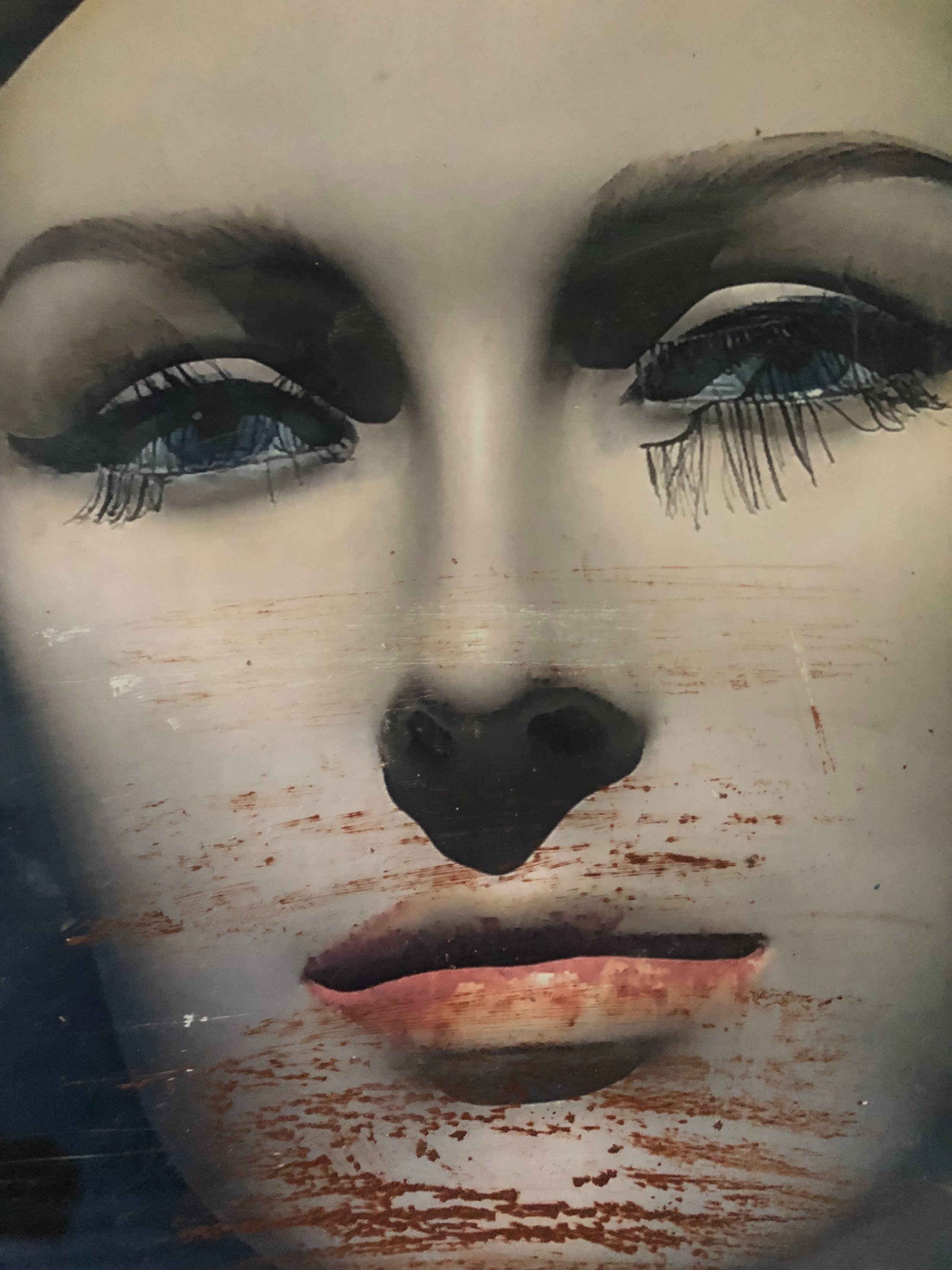 Iris (photograph, pencil)